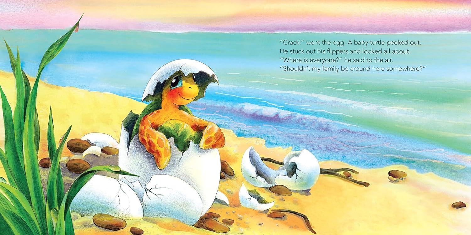 Baby Turtle's Tale - by  Elle J McGuinness & Romi Caron (Board Book)