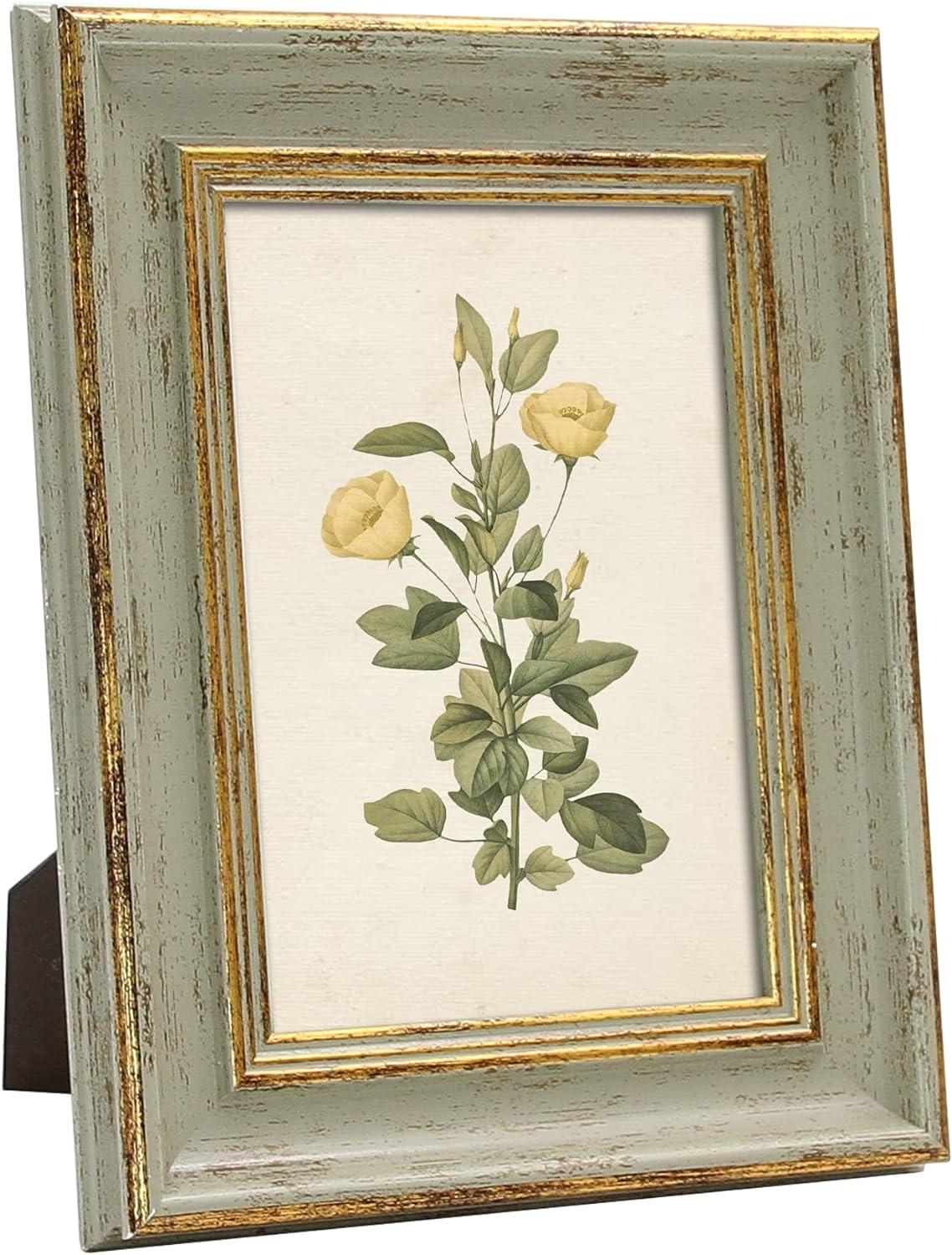 Sage Green Distressed 5x7 Picture Frame with Gold Trim