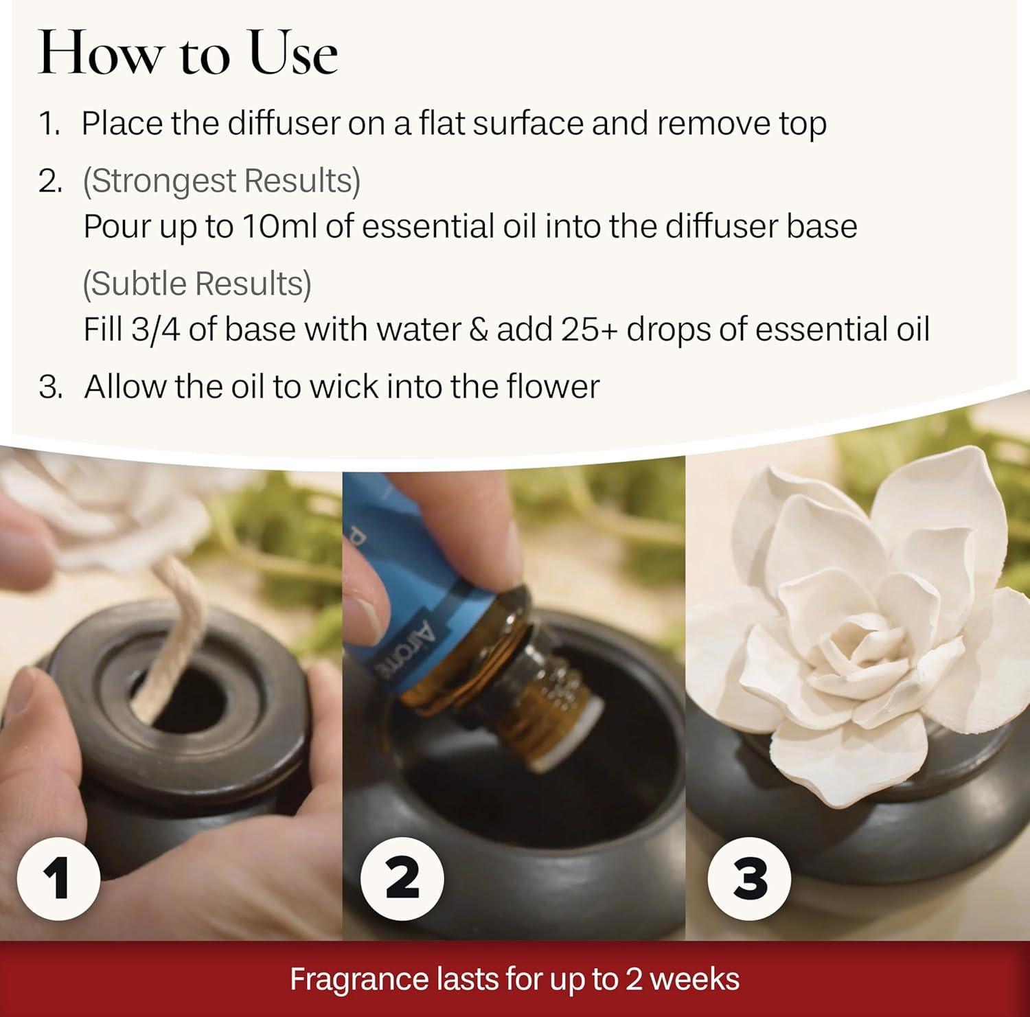 Passive Porcelain White Rose Electric-Free Diffuser with Peppermint Oil