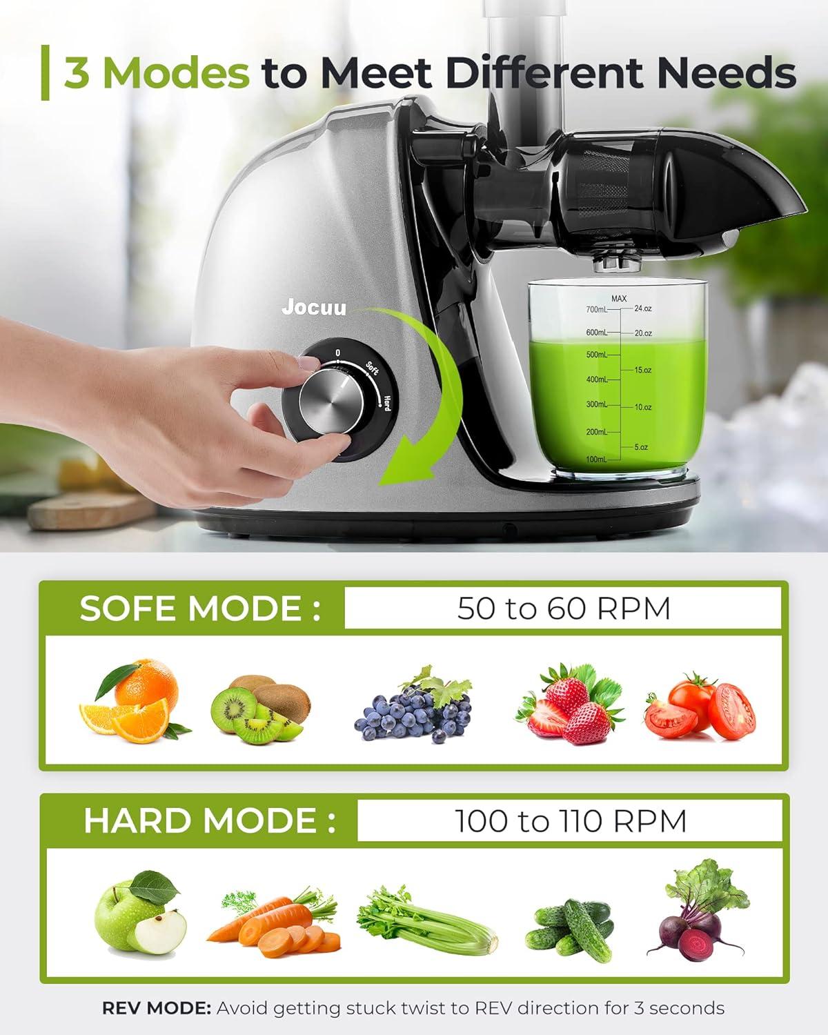 Gray Stainless Steel Masticating Juicer with Variable Speed and Reverse Function