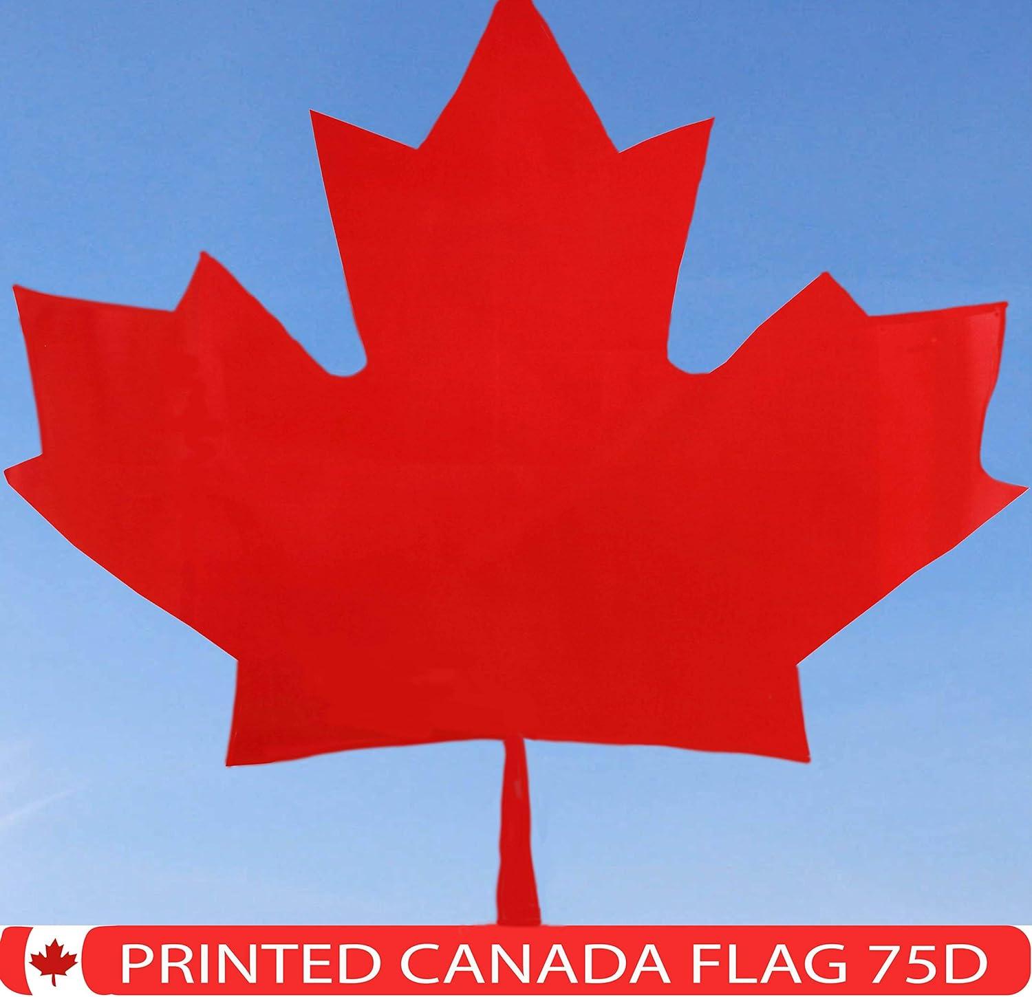 G128 Canada Flag 3x5ft Printed Quality Polyester with Brass Grommets Double Stitched Canadian Flag Canadian National Flag Canada Canadian Country Flag Indoor/Outdoor