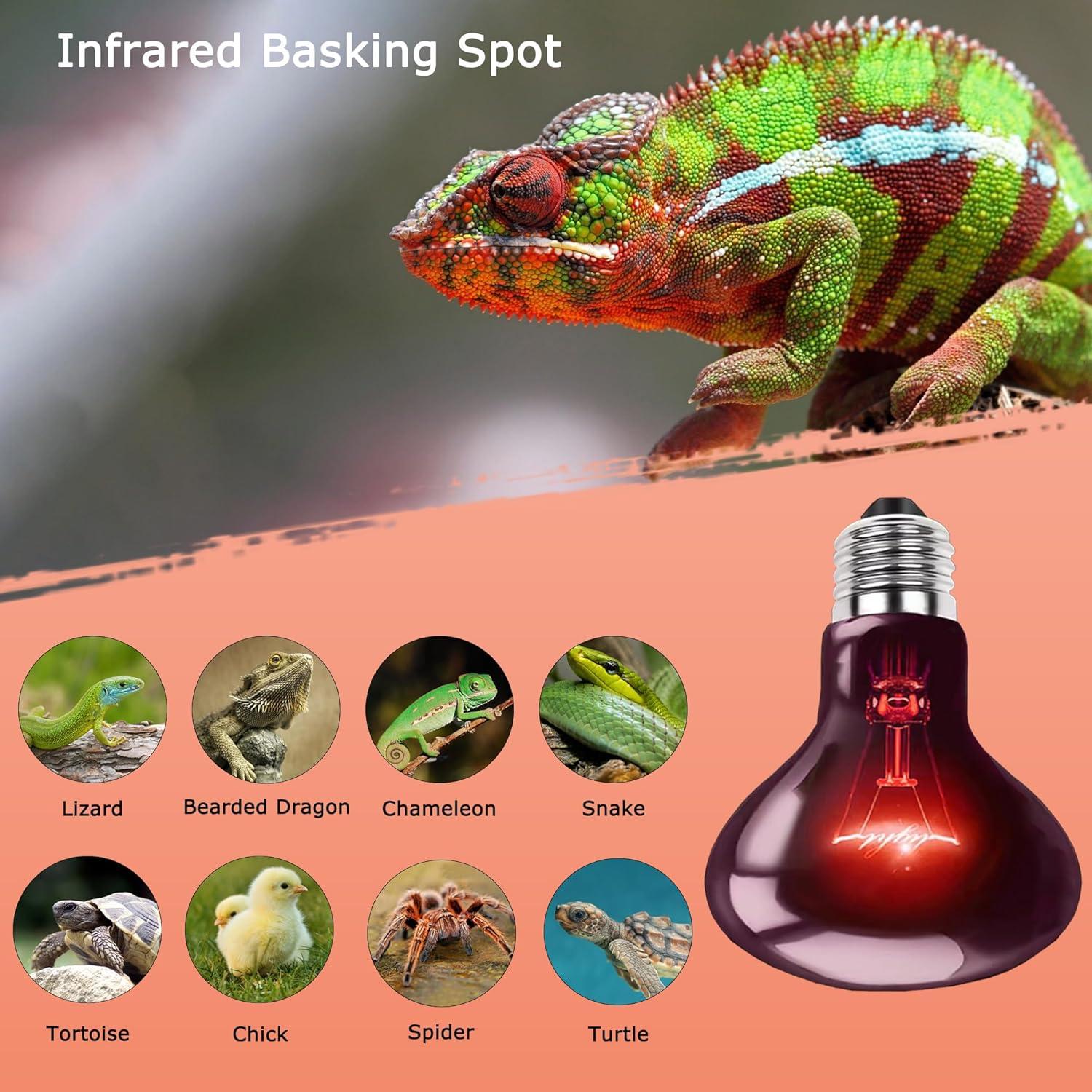 HARTOMPET 75W Infrared Basking Spot Light – Ideal for Reptiles & Amphibians, Red Heat Lamp - 2PCS