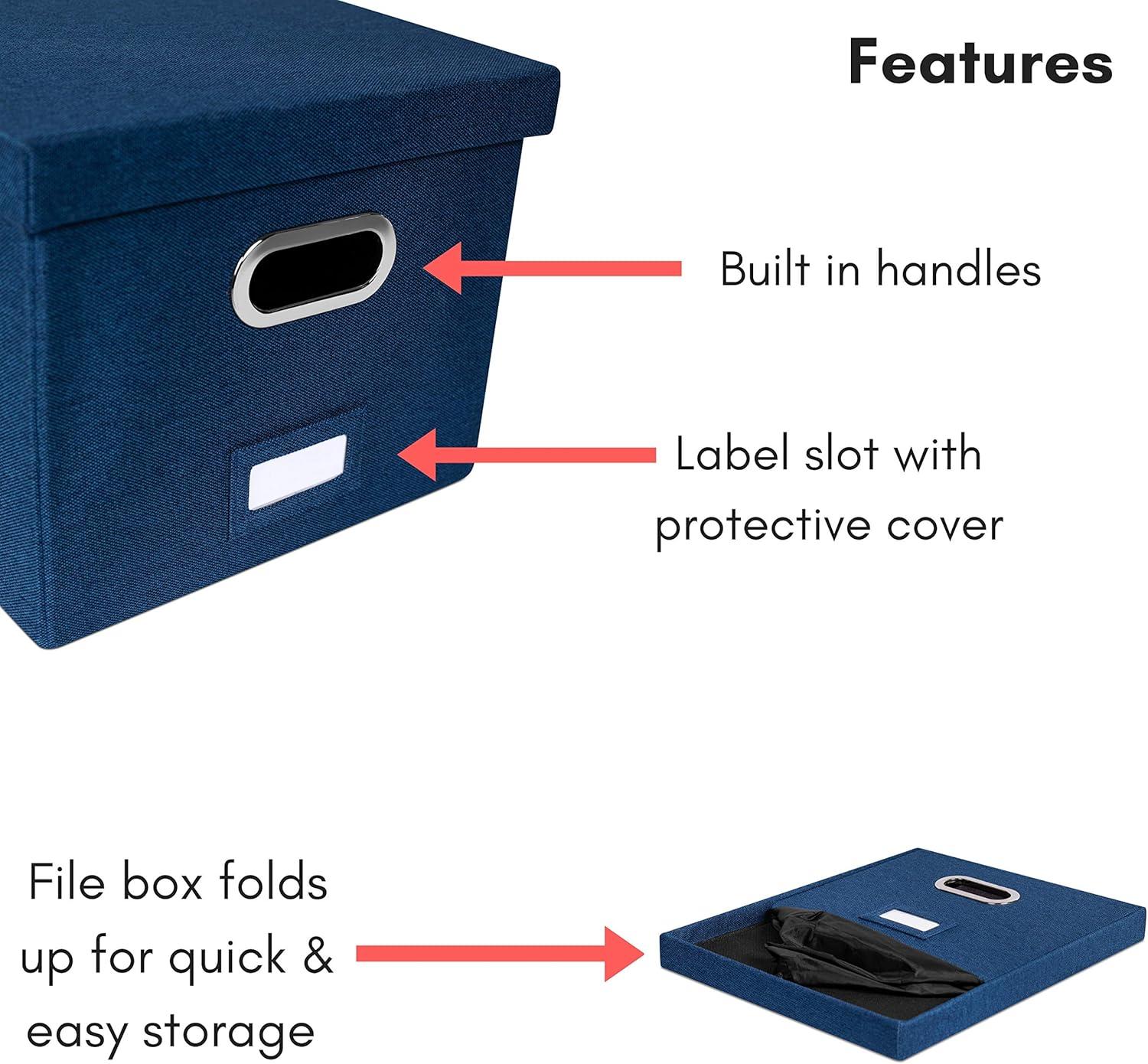 BirdRock Home Internet's Best Collapsible File Storage Fabric Box & Reviews | Wayfair