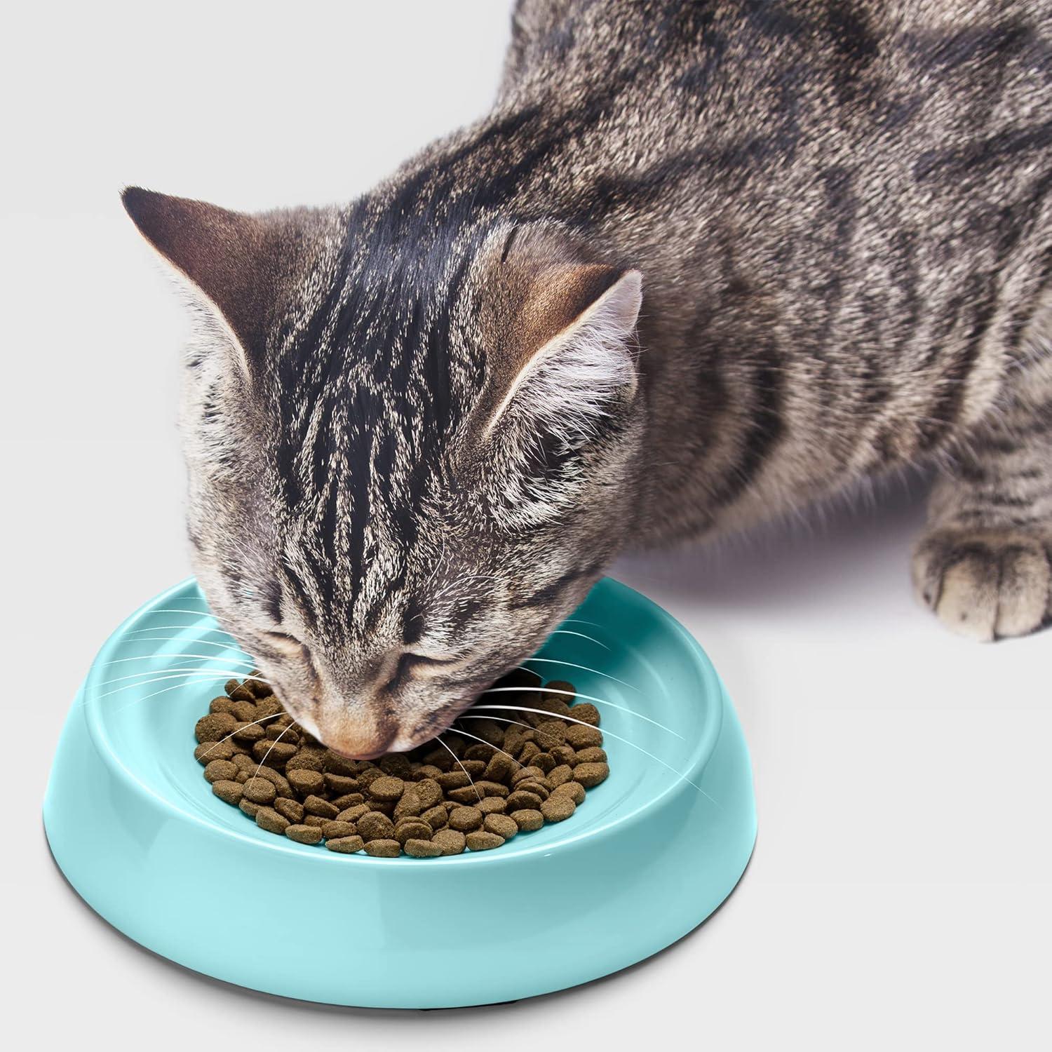 CatGuru Cat Bowls, Whisker Stress Free Cat Food Bowl, Reliefs Whisker Fatigue, Wide Cat Bowl, Non Slip Cat Food Bowls, Shallow Cat Dish, Cat Feeding & Watering Supplies (Aruba)