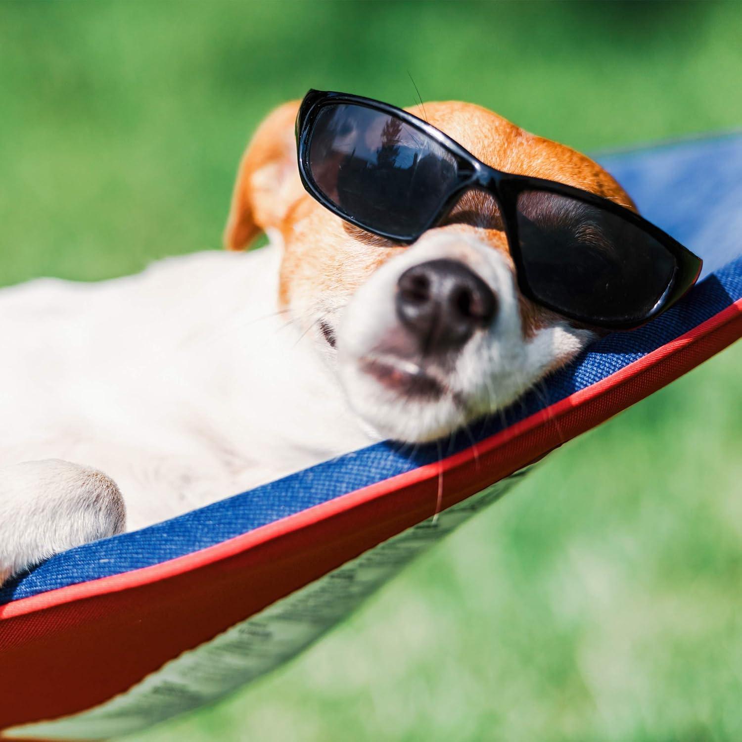 Portable Hammock with Stand - Folds and Fits into Included Carry Bag for Easy Travel- Perfect for Backyard Pool Beach Hiking by Lavish Home (Black)