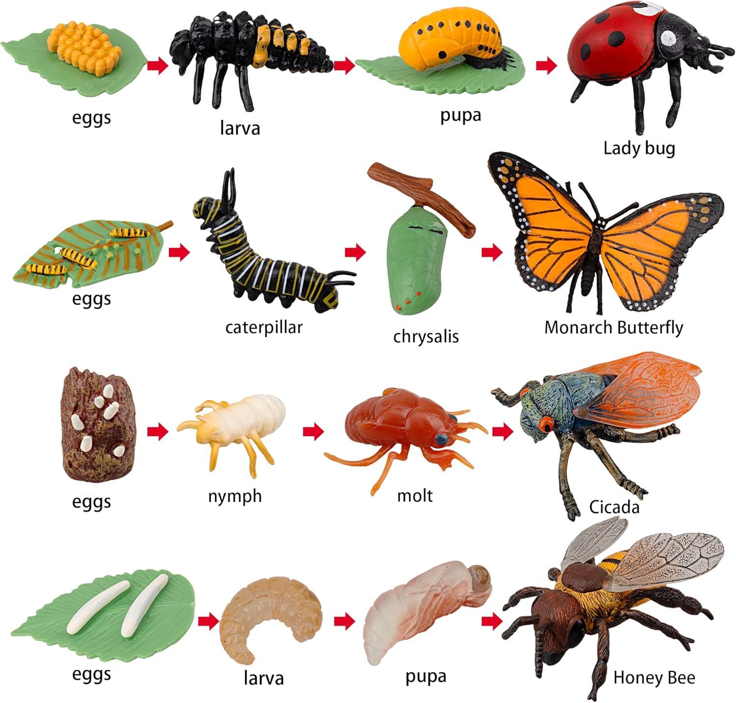 Toymany 16PCS Life Cycle of Goose White Swan Chicken Duck Farm Animals Figures, Plastic Safariology Growth Cycle Eggs Figurines Toy Kit School Project Cake Topper for Kids Toddlers