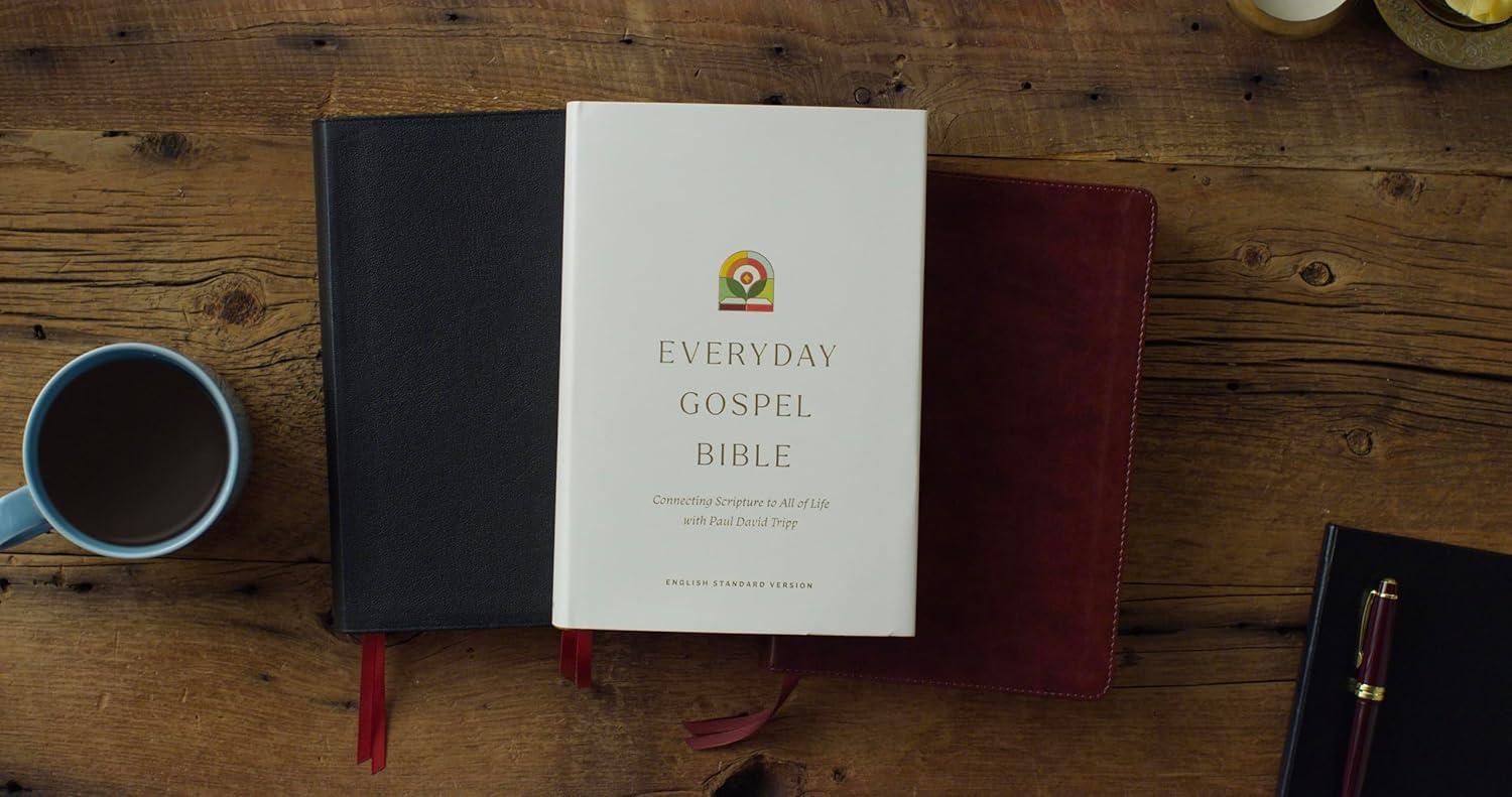 ESV Everyday Gospel Bible - (Leather Bound)