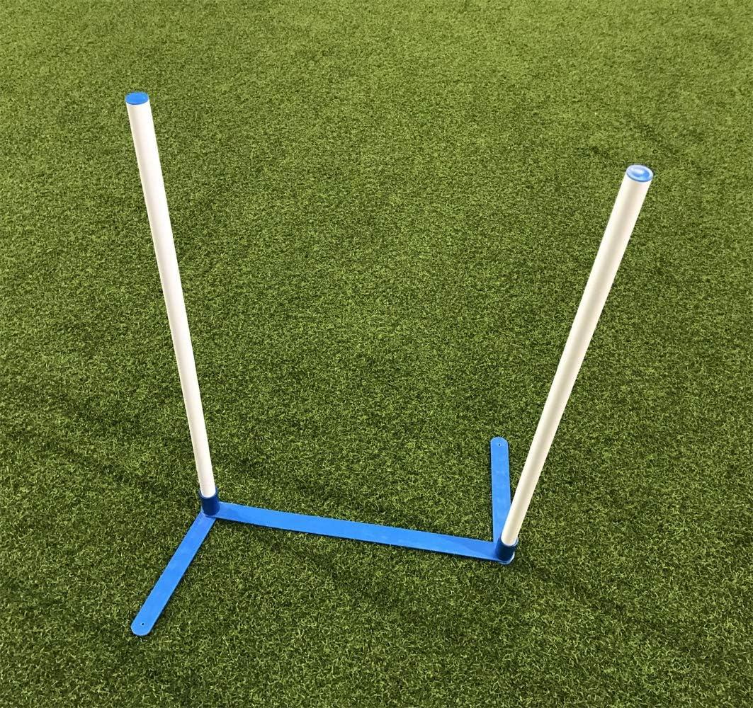 Cool Runners Agility Weave Poles Adjustable 6 Pole Set with Carrying Case and Grass Stakes, Blue/Yellow, 1 Count (Pack of 1)