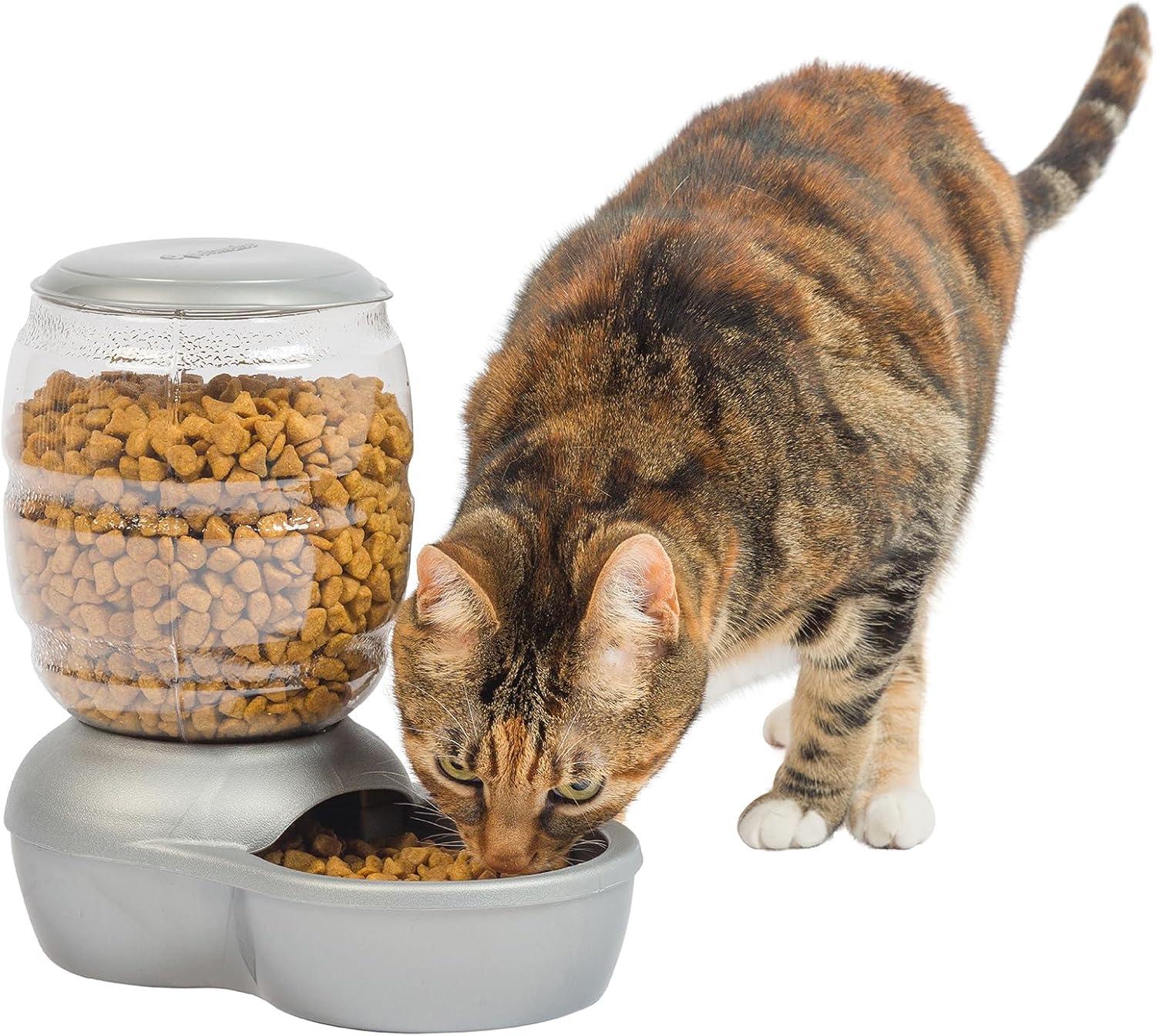 Petmate Automatic Feeder