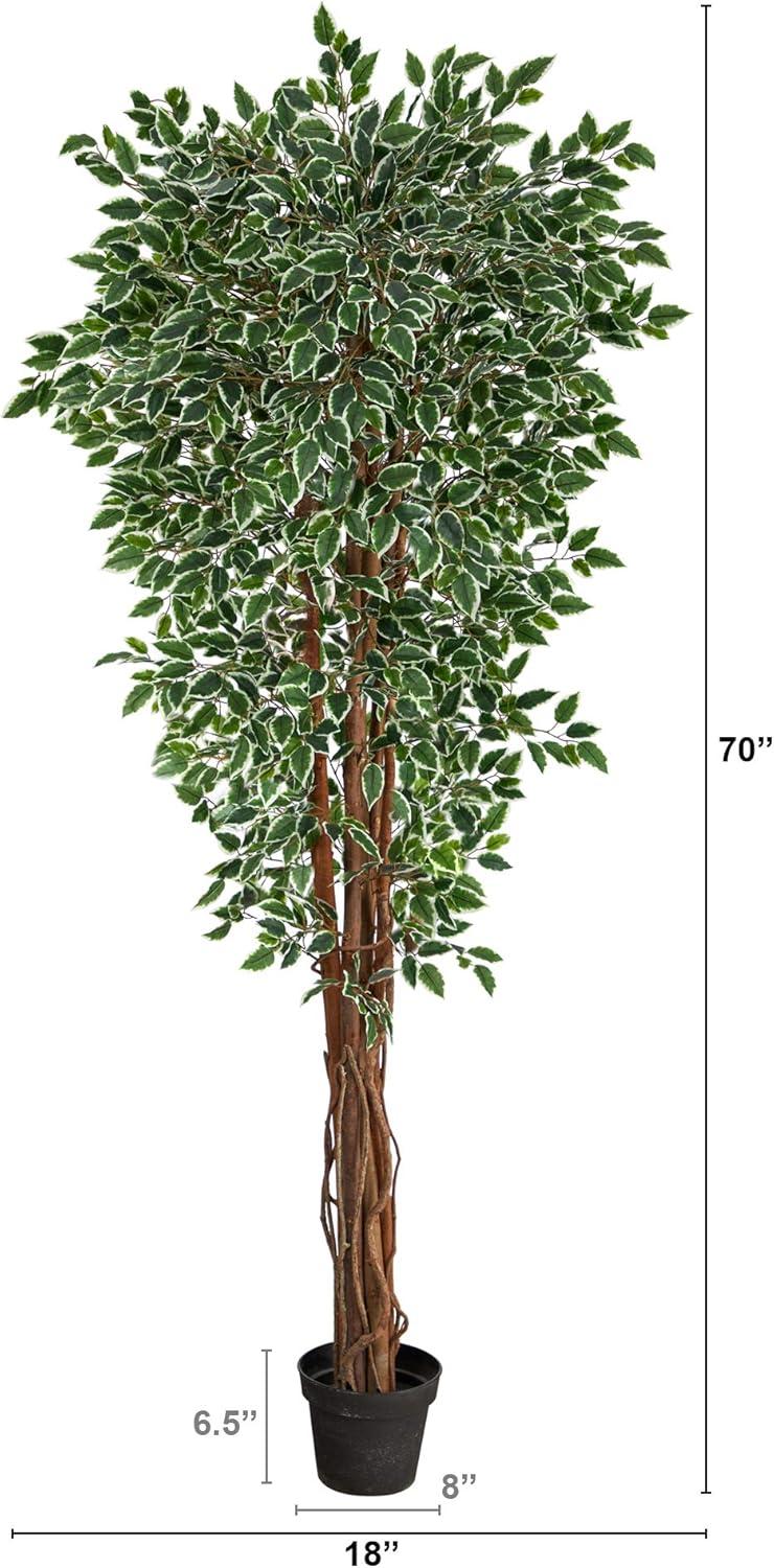 70'' Variegated Green Ficus Artificial Tree with Natural Trunk