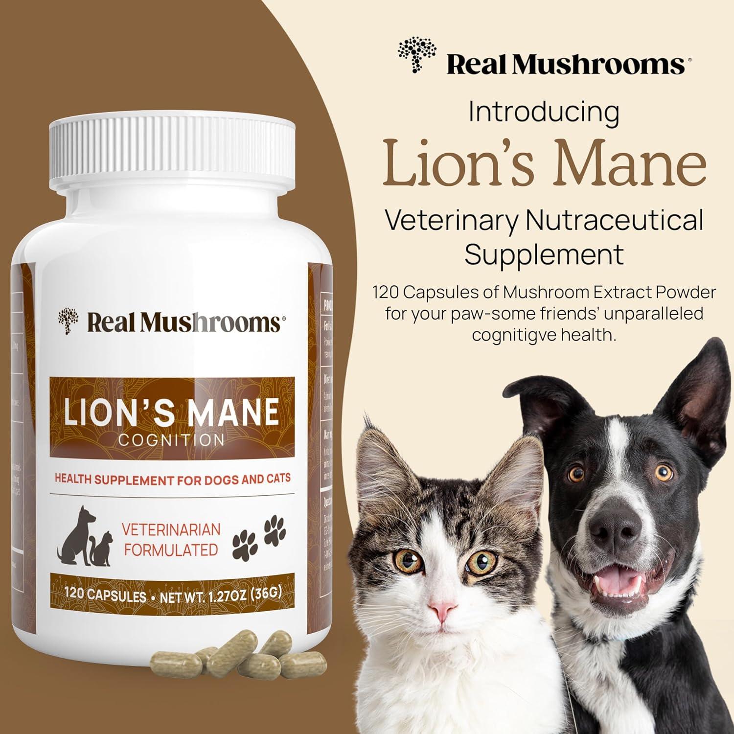 Real Mushrooms Lion's Mane, For Dogs and Cats, 120 Capsules