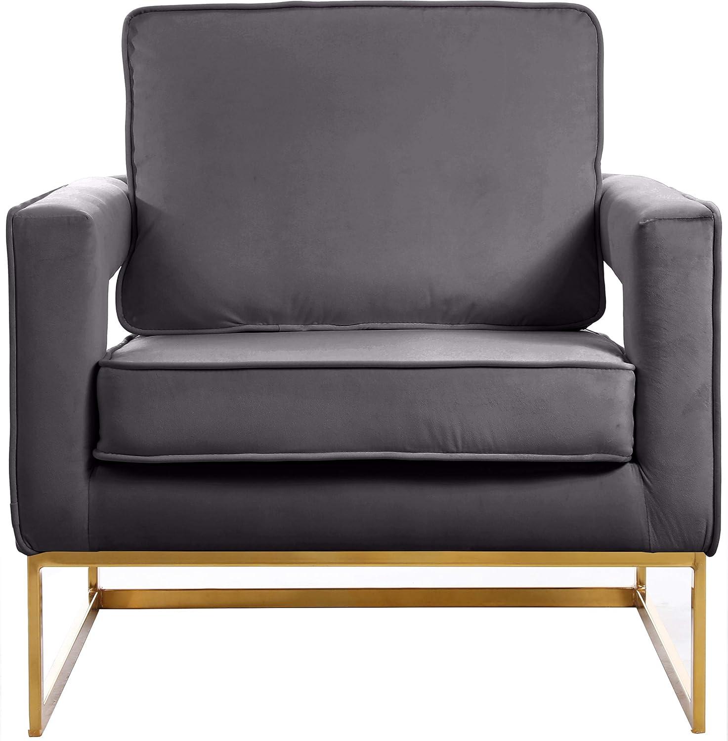 Meridian Furniture Noah Gray Velvet Accent Chair with Gold Iron Base