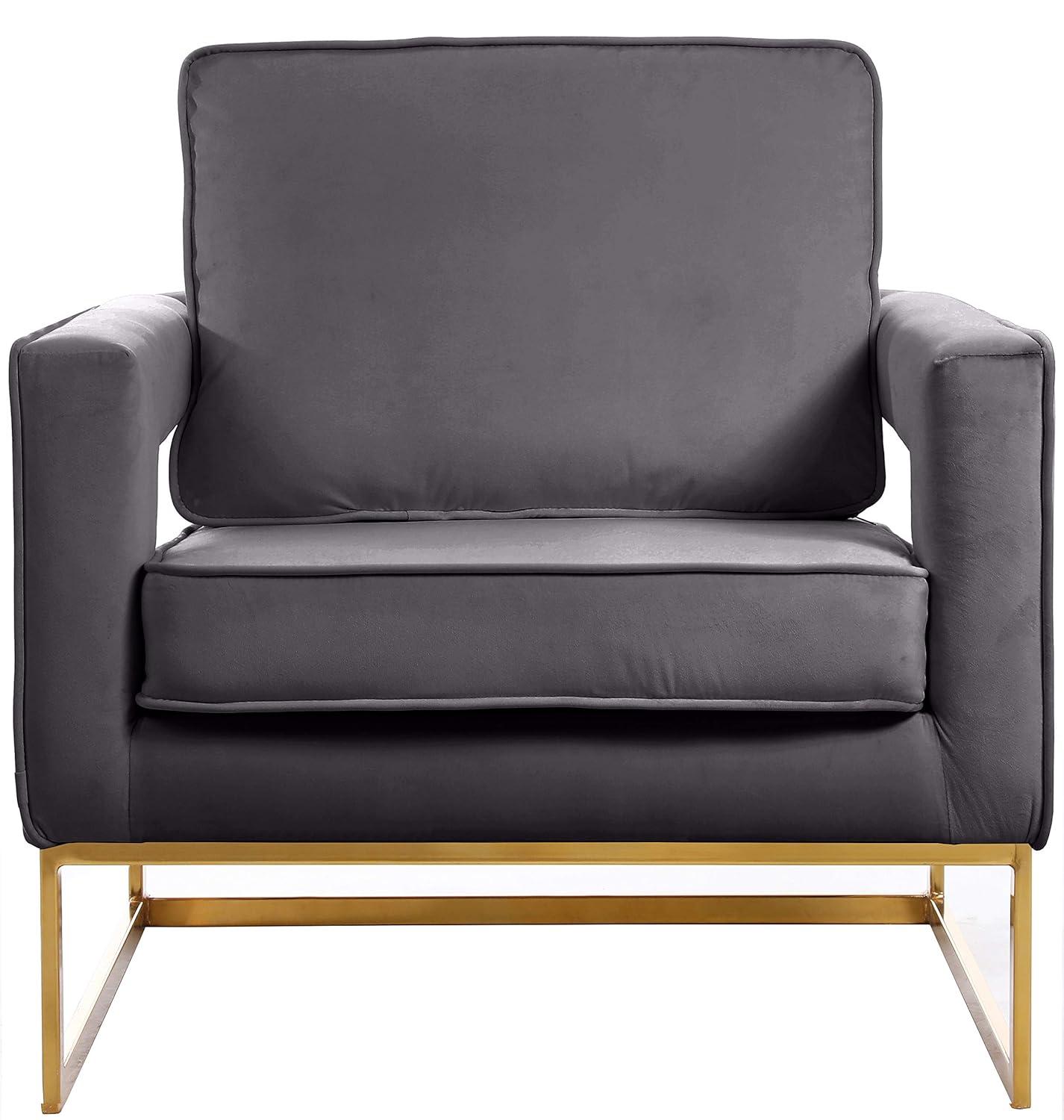 Meridian Furniture Noah Gray Velvet Accent Chair with Gold Iron Base