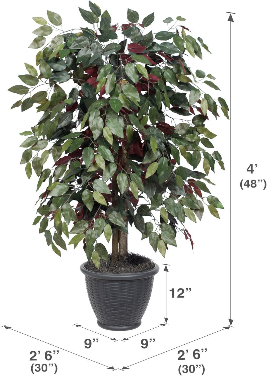 Vickerman 4' Artificial Capensia Bush, Gray Round Plastic Container. In a 12"Lx12"Wx9"H base.