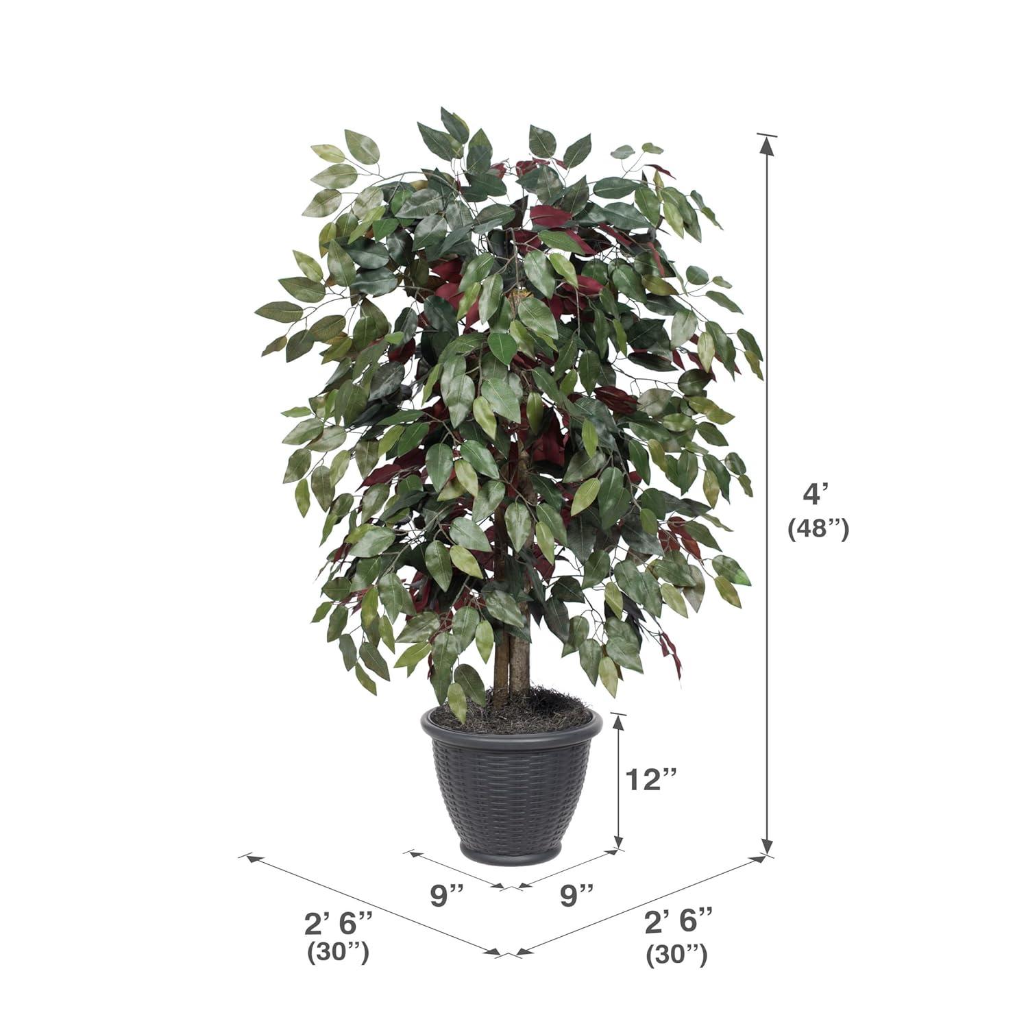 Vickerman 4' Artificial Capensia Bush, Gray Round Plastic Container. In a 12"Lx12"Wx9"H base.