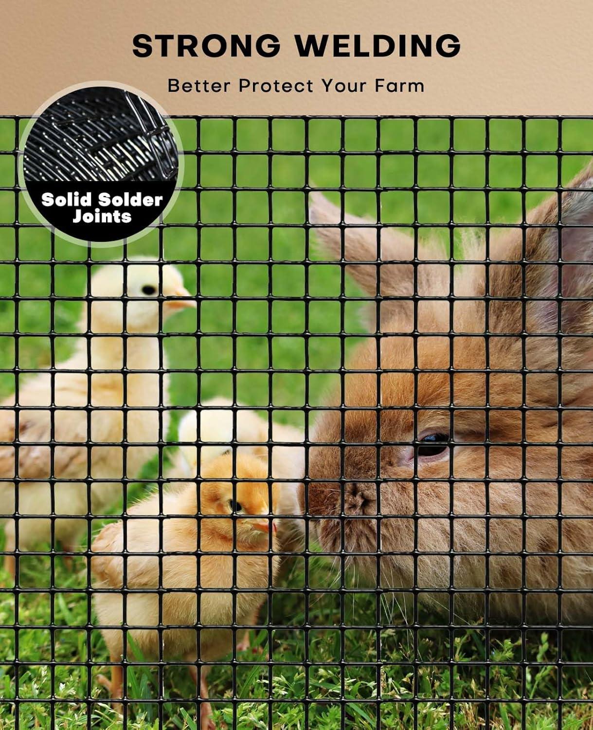 Black Vinyl Coated Metal Chicken Wire Mesh Roll