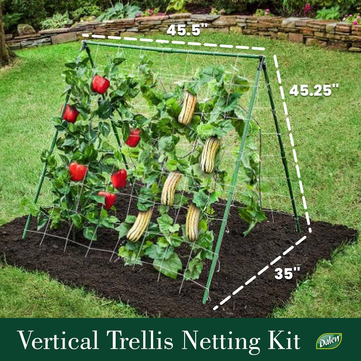 Dalen Trellis Netting Kit for Vertical Gardening – Heavy Duty Material – Tangle Free Nylon - 6" Mesh - 5/8 in Pole Structure