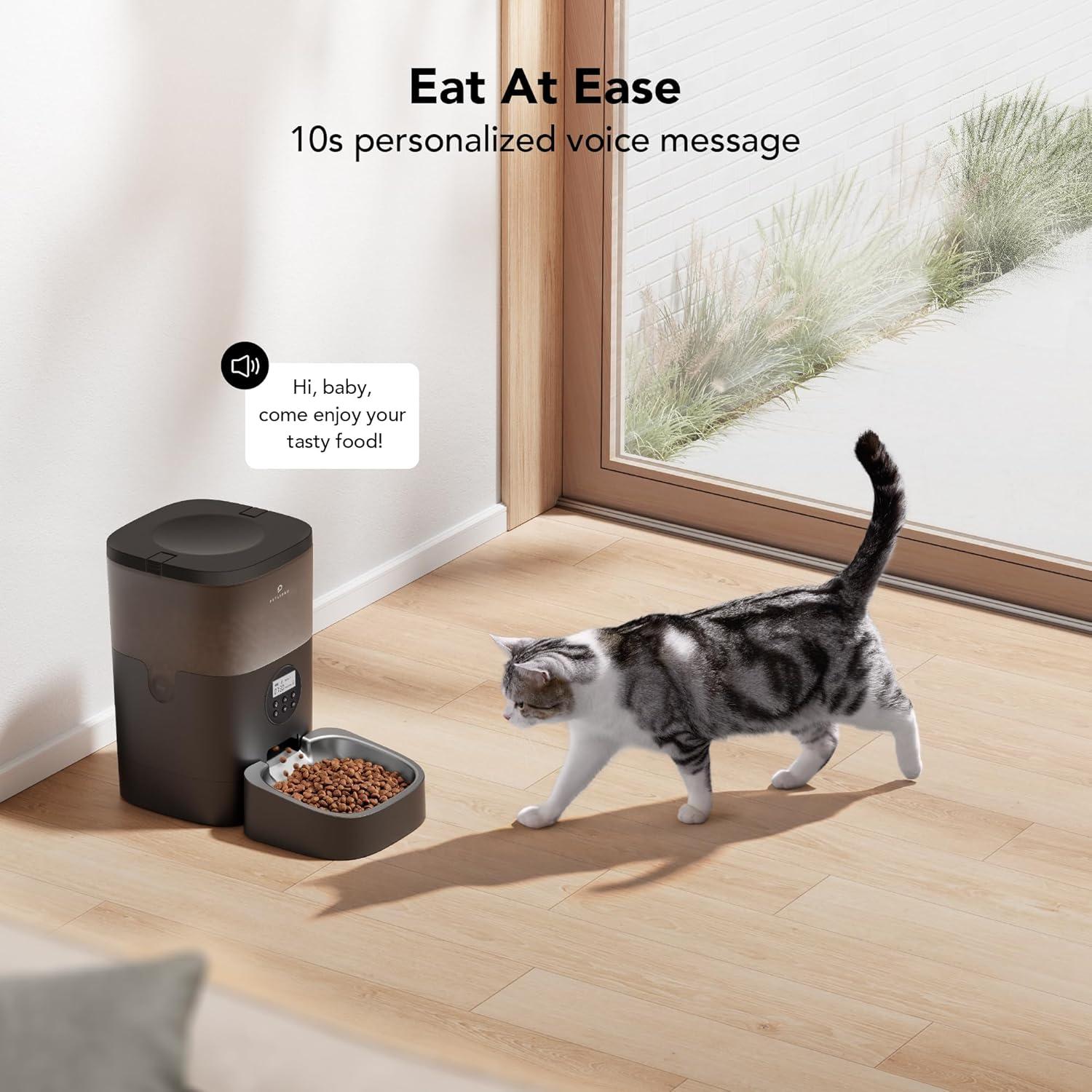 Black Automatic Elevated Pet Feeder with Timer and Voice Recorder