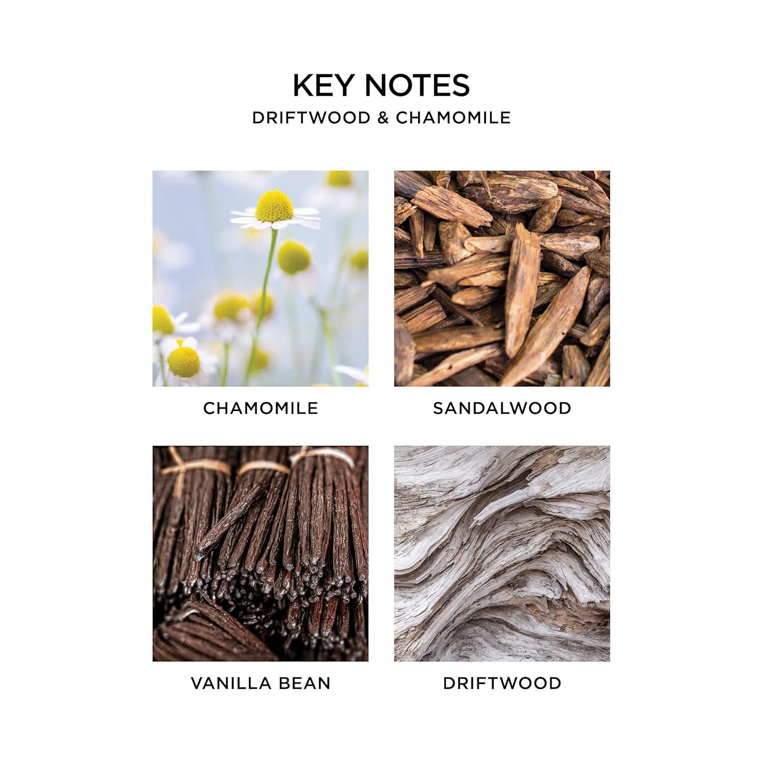 NEST Fragrances Driftwood & Chamomile Fragrance Oil, Long-Lasting Reed Diffuser for Home with Rattan Sleeve, 5 Fl Oz
