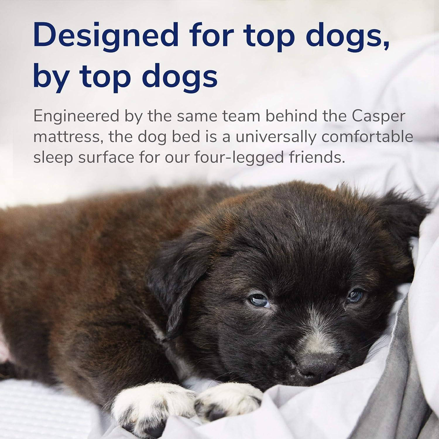The Casper Dog Bed