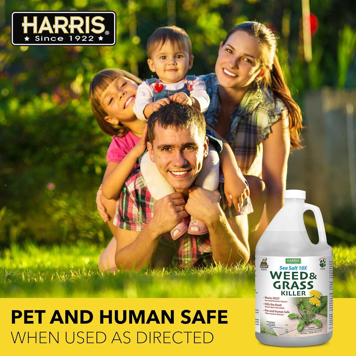 Harris Sea Salt 10X Organic Weed & Grass Killer, 1 Gallon