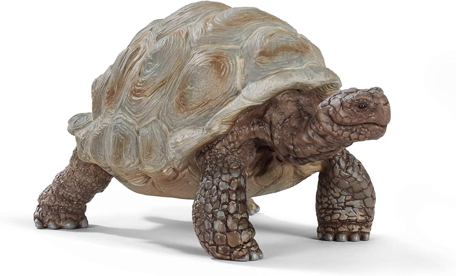 Schleich 9060819 Plastic Wild Life Giant Tortoise Toy, Beige & Brown - Pack of 5