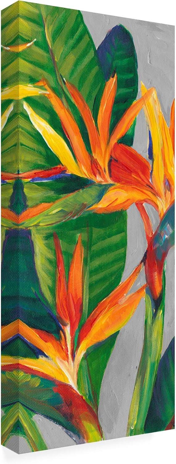 Trademark Fine Art -Tim Otoole 'Bird Of Paradise Triptych Ii' Canvas Art - 24''x10''