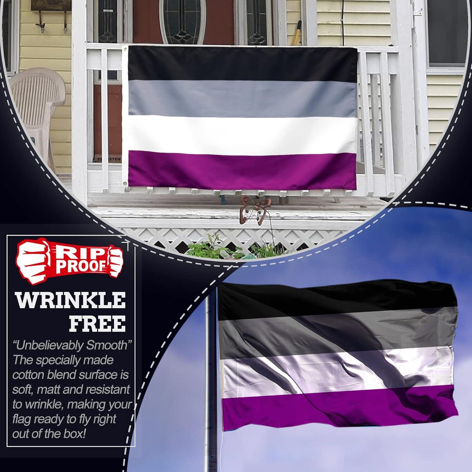 Anley Rip-Proof Technology Double Sided 3-Ply Asexual Pride Flag 3x5 Foot - Asexuality Rainbow LGBT Flags