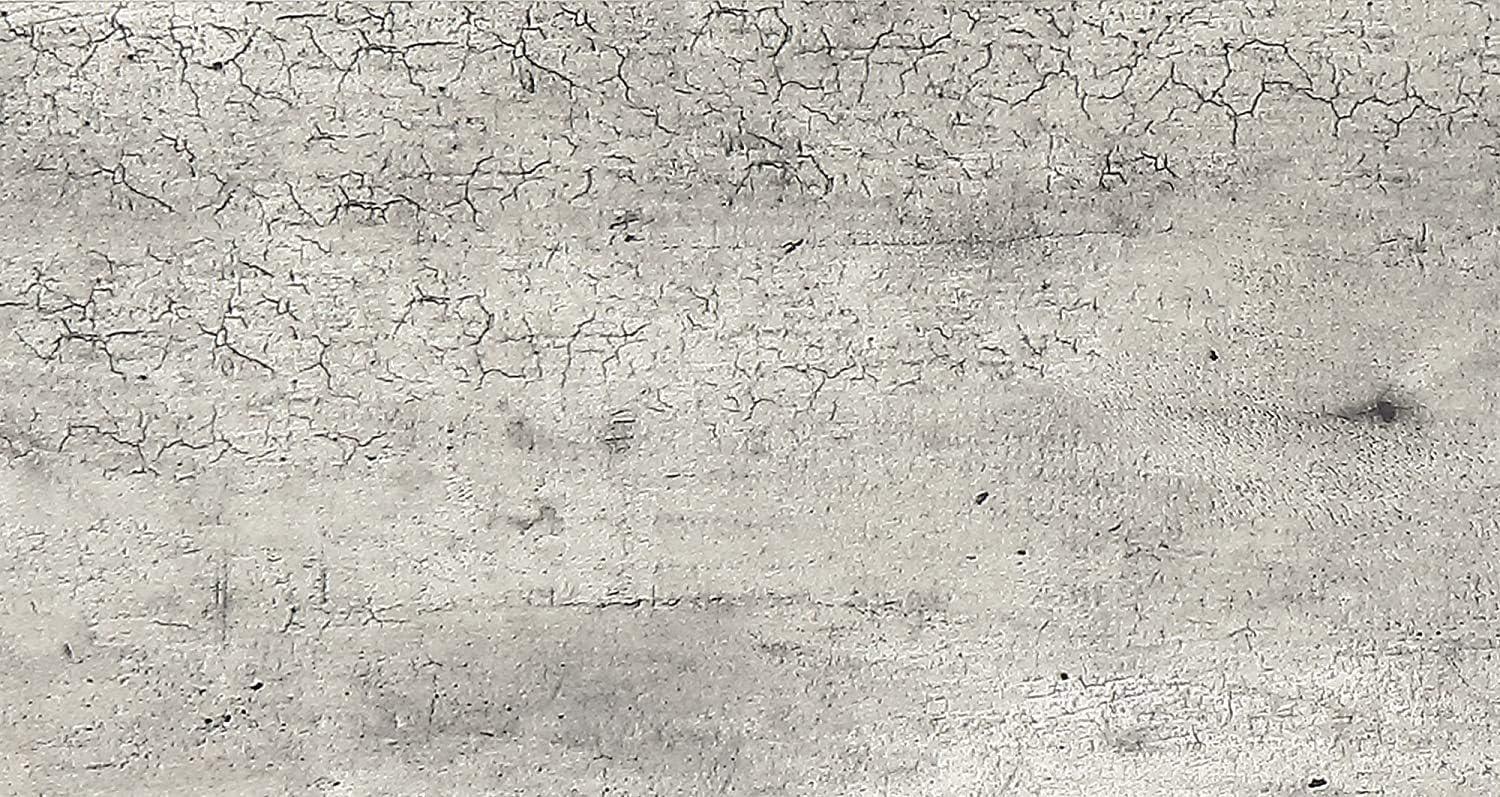 Convenience Concepts Tucson Coffee Table in Faux Birch Gray Wood Finish