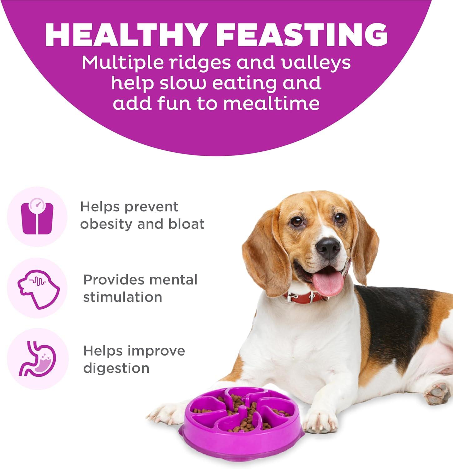 Outward Hound Fun Feeder Slo Bowl, Medium Slow Feeder Dog Bowl, 2 Cups, Purple