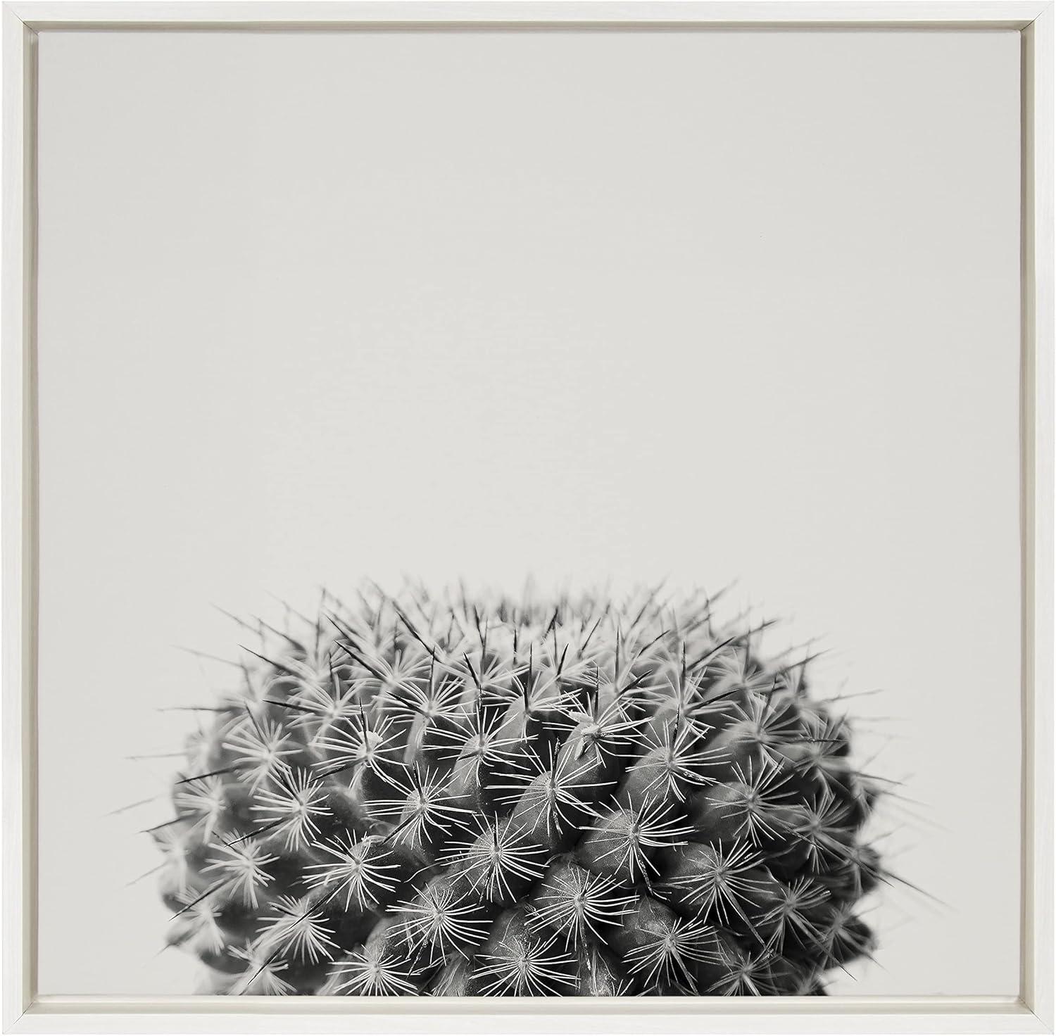 22" x 22" Sylvie Haze Succulent Cactus Short Framed Wall Canvas by The Creative Bunch Studio - Kate & Laurel All Things Decor