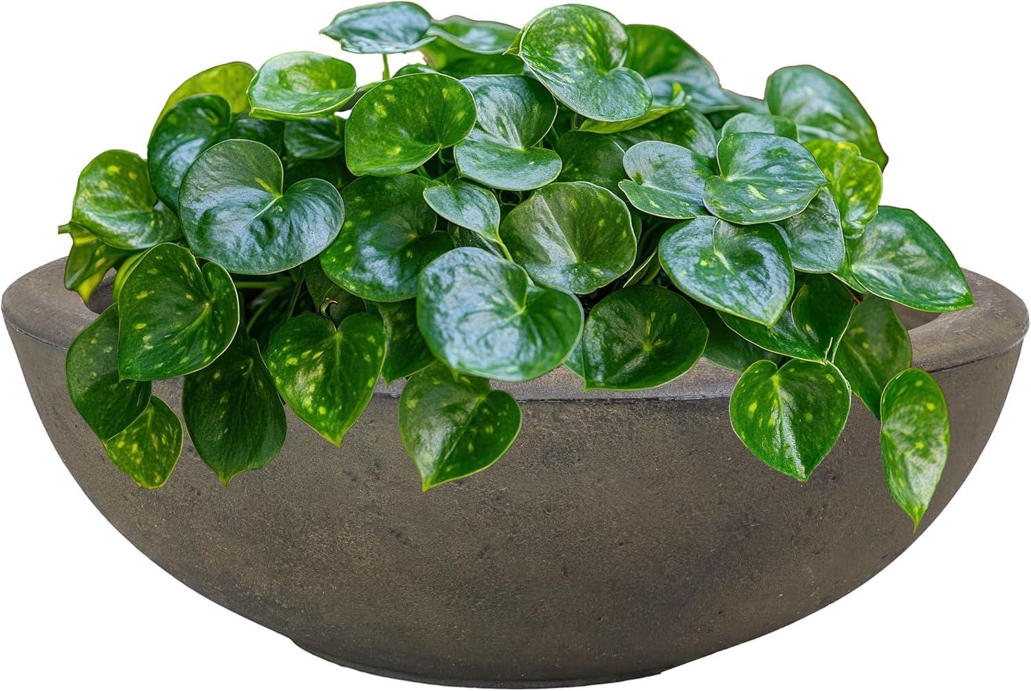 Sunnydaze Weather-Resistant Polyresin Double-Walled Percival Outdoor Flower Pot Planter - 20.75"