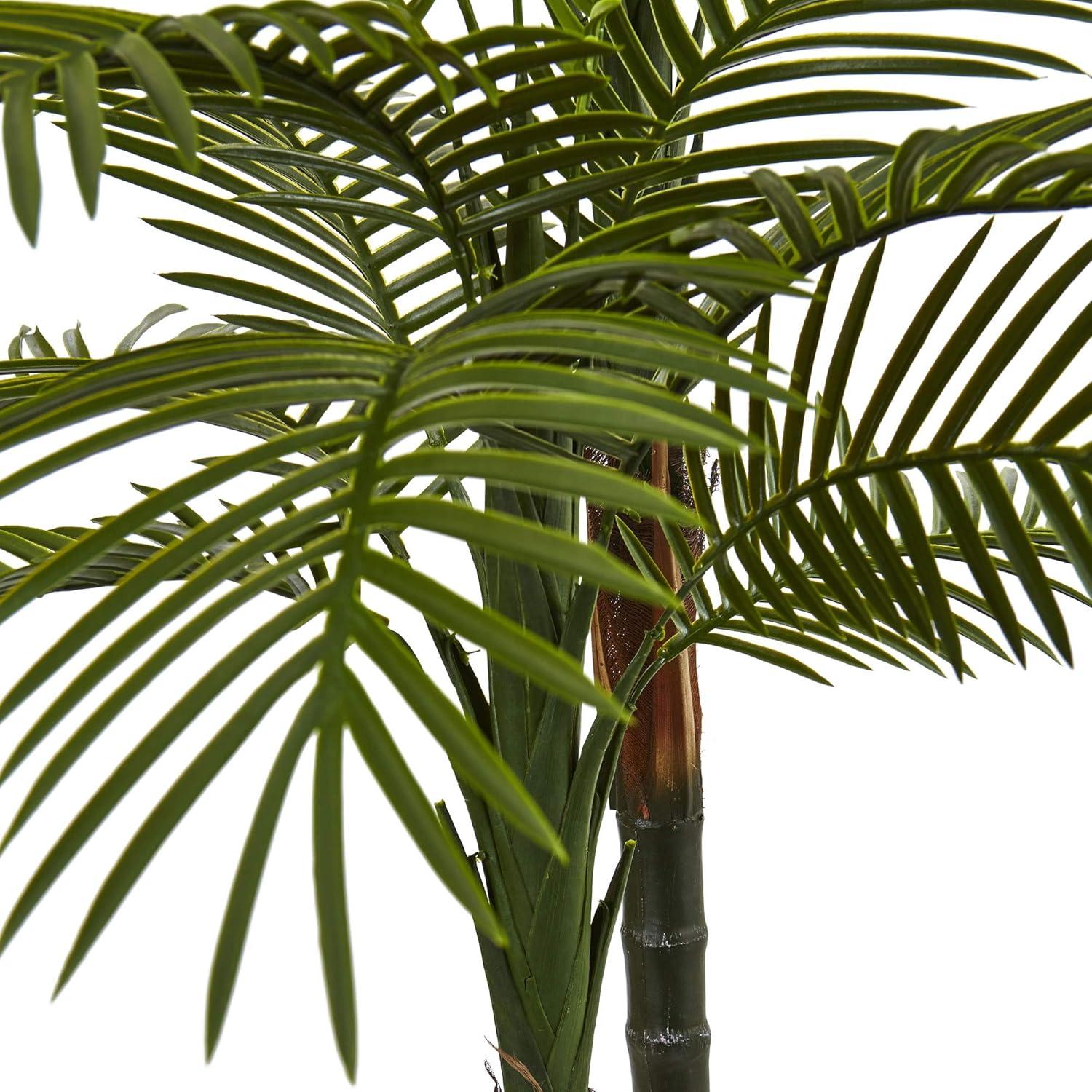 5.5ft Green Silk Double Robellini Palm Tree