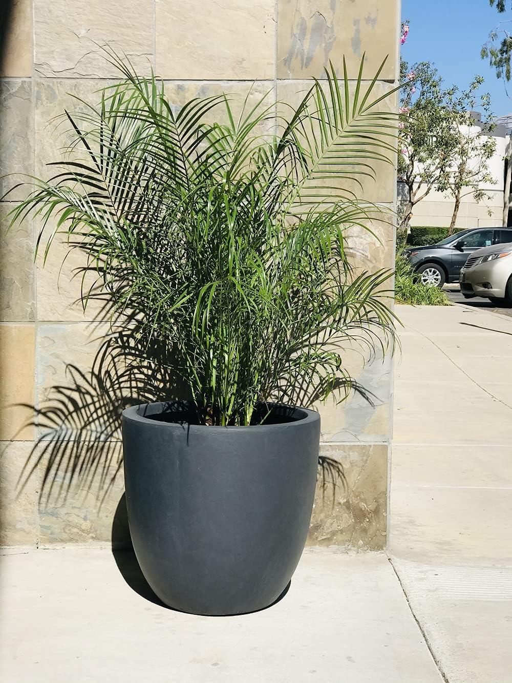 Rosemead Home & Garden Concrete Outdoor Planter Pot Black 16.93"x16.93"x15.16"