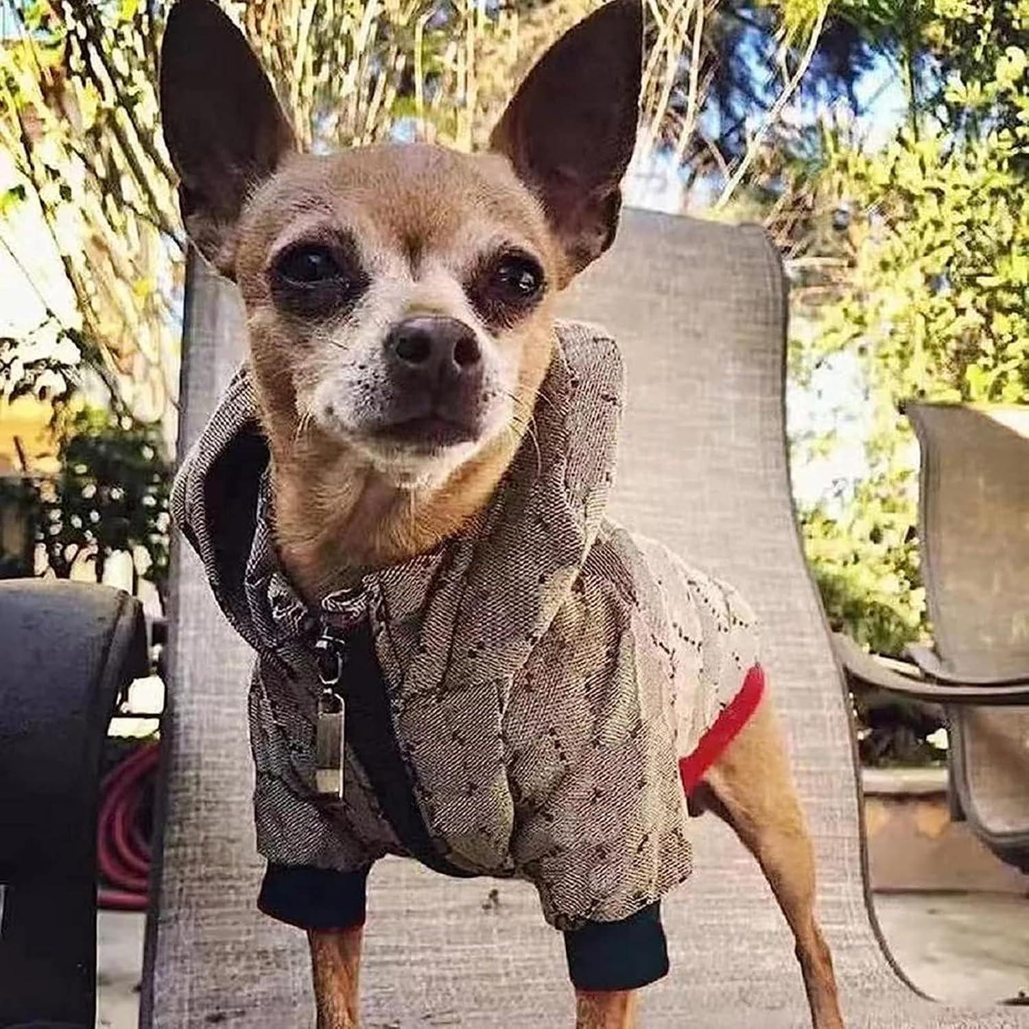 Dog Hoodie Luxury Winter Small Dog Jacket Clothes Classic Designer Warm Pet Coats Zipper Design Easy On/Off French Bulldog Teddy Pug Puppy Clothes(S)