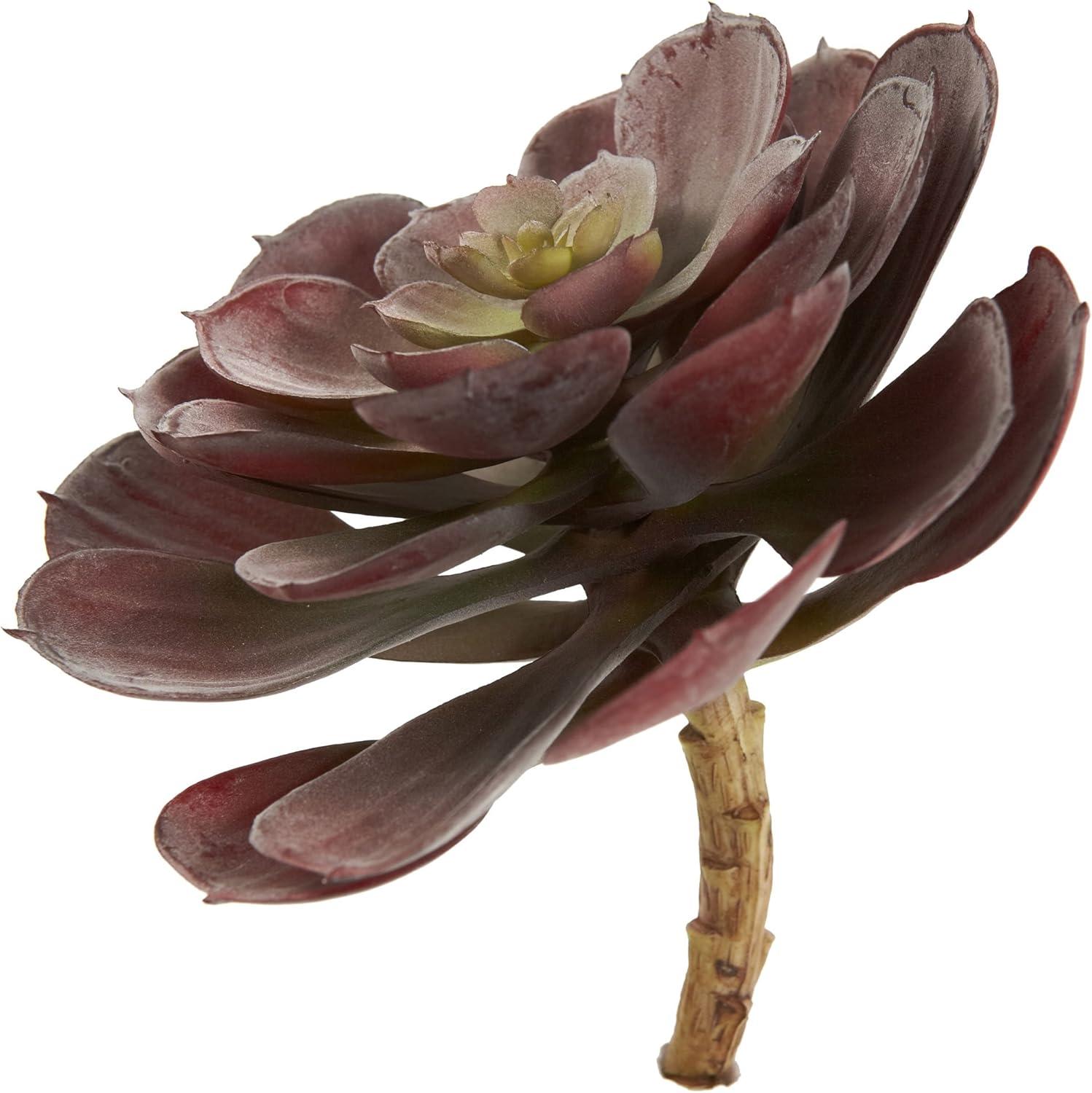 Nearly Natural 6 Echeveria Succulent - Set of 12 Burgundy