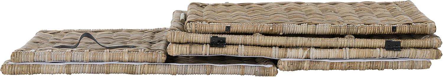 Michael 35" Wicker Storage Trunk, Natural