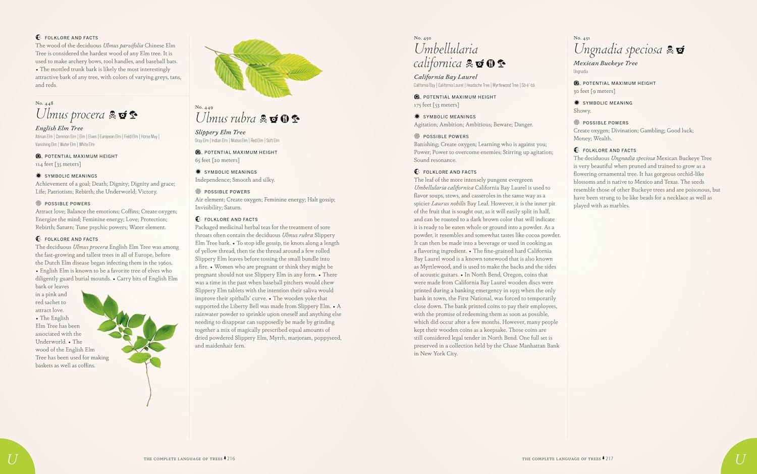 The Complete Language of Trees - Pocket Edition - by  S Theresa Dietz (Hardcover)