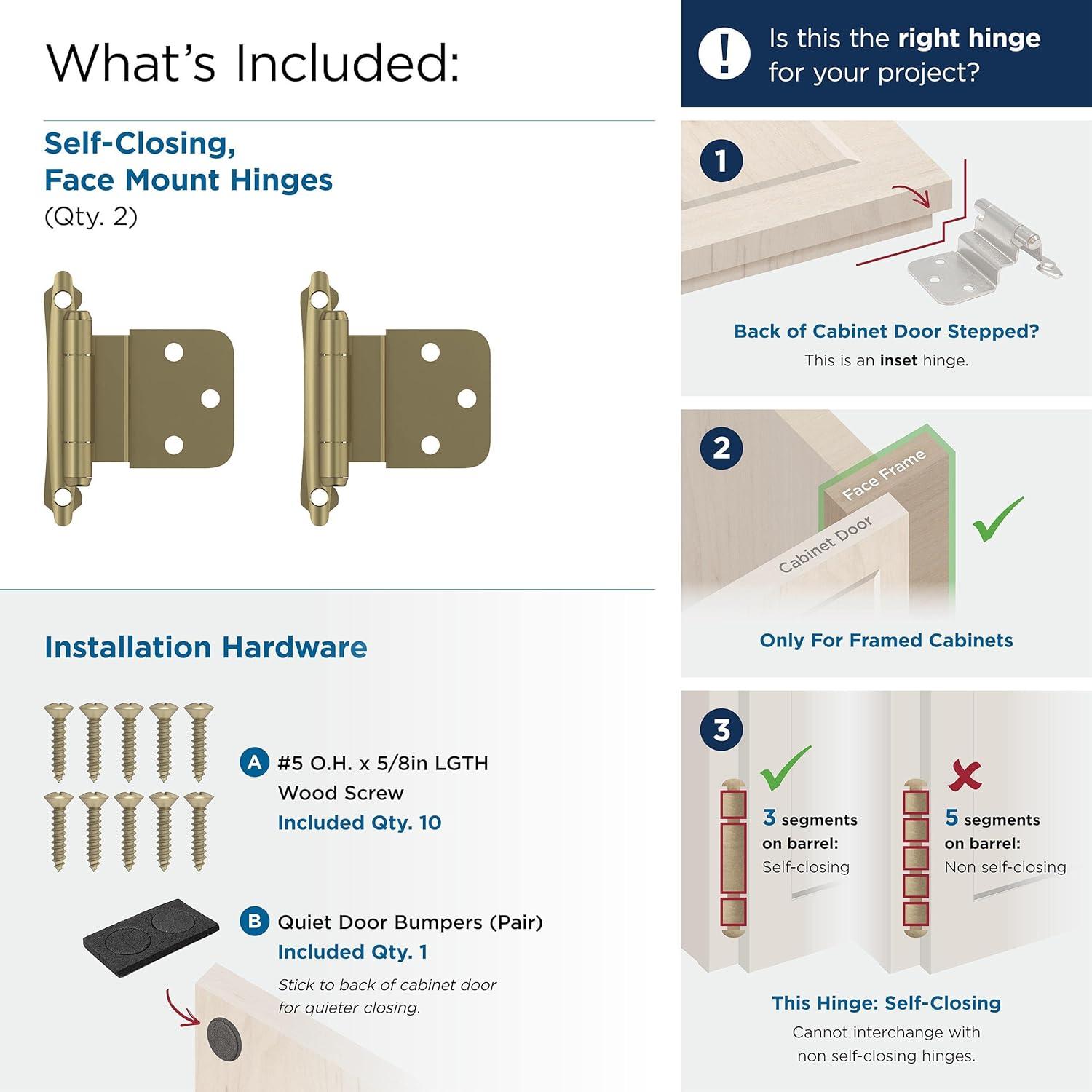 Golden Champagne 3/8 Inch Inset Self-Closing Cabinet Hinge