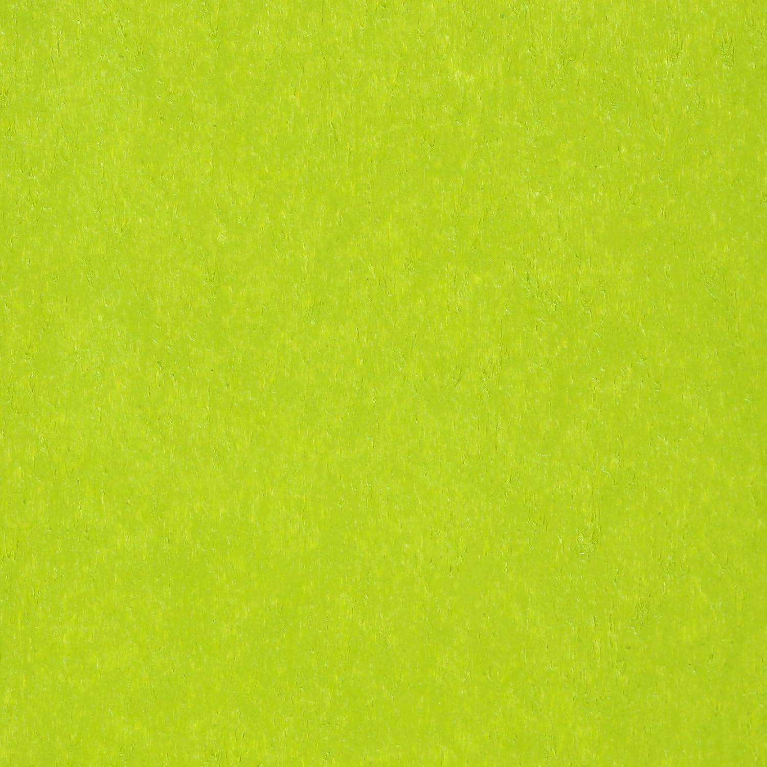 BRAXTON Outdoor Patio Folding Poly Adirondack Chair ( Set of 2), Lime