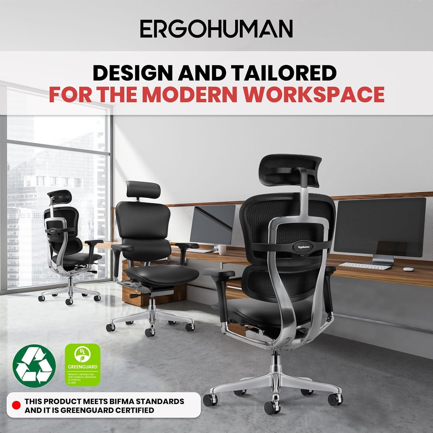 Eurotech Seating Ergohuman Executive Chair with Headrest