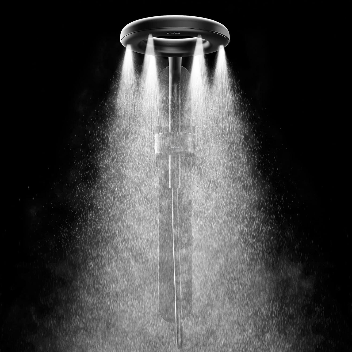 Moen Spa Shower Rainshower