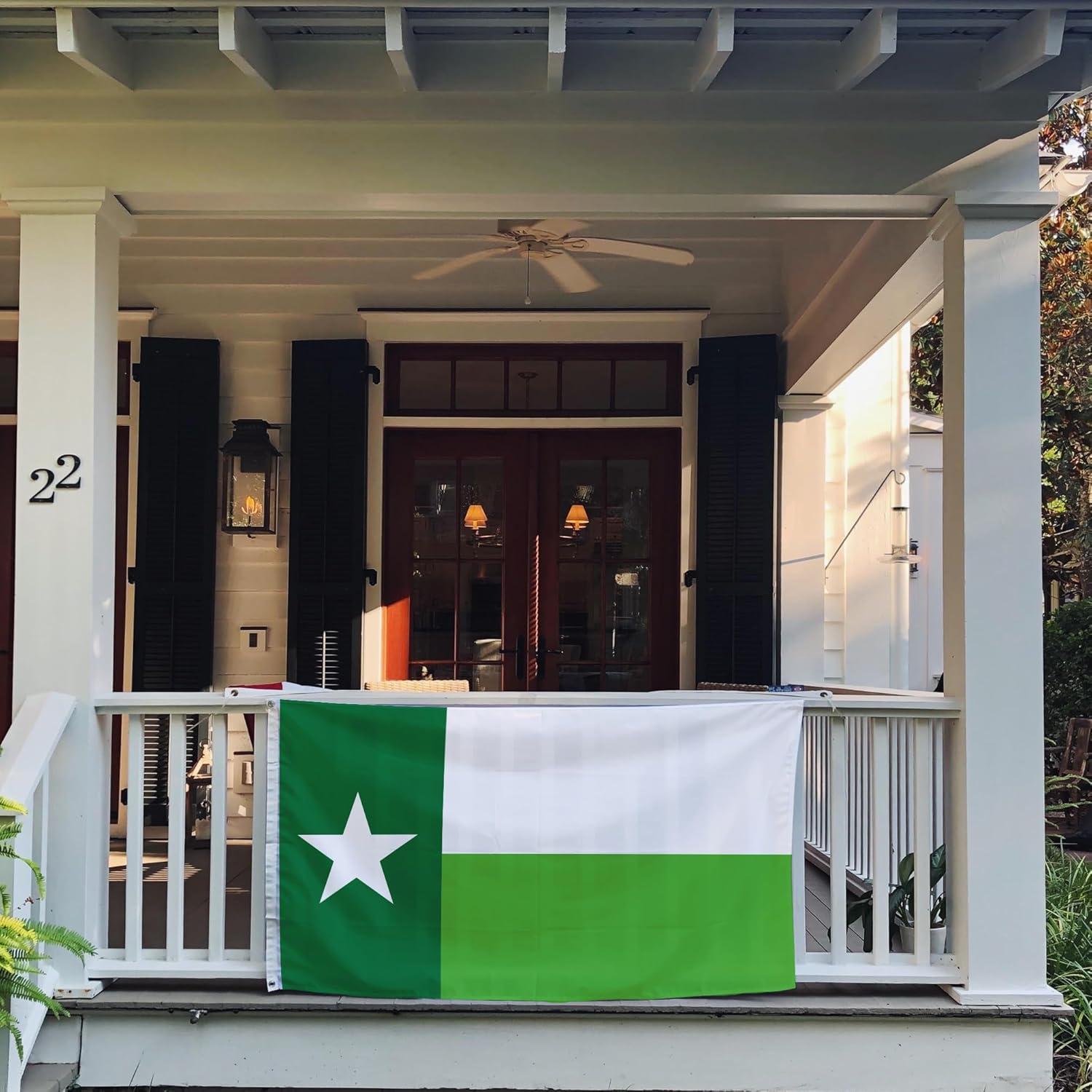 Desert Cactus University of North Texas Flag UNT Mean Green Flags Banners 100% Polyester Indoor Outdoor 3x5 (Green Texas Flag)