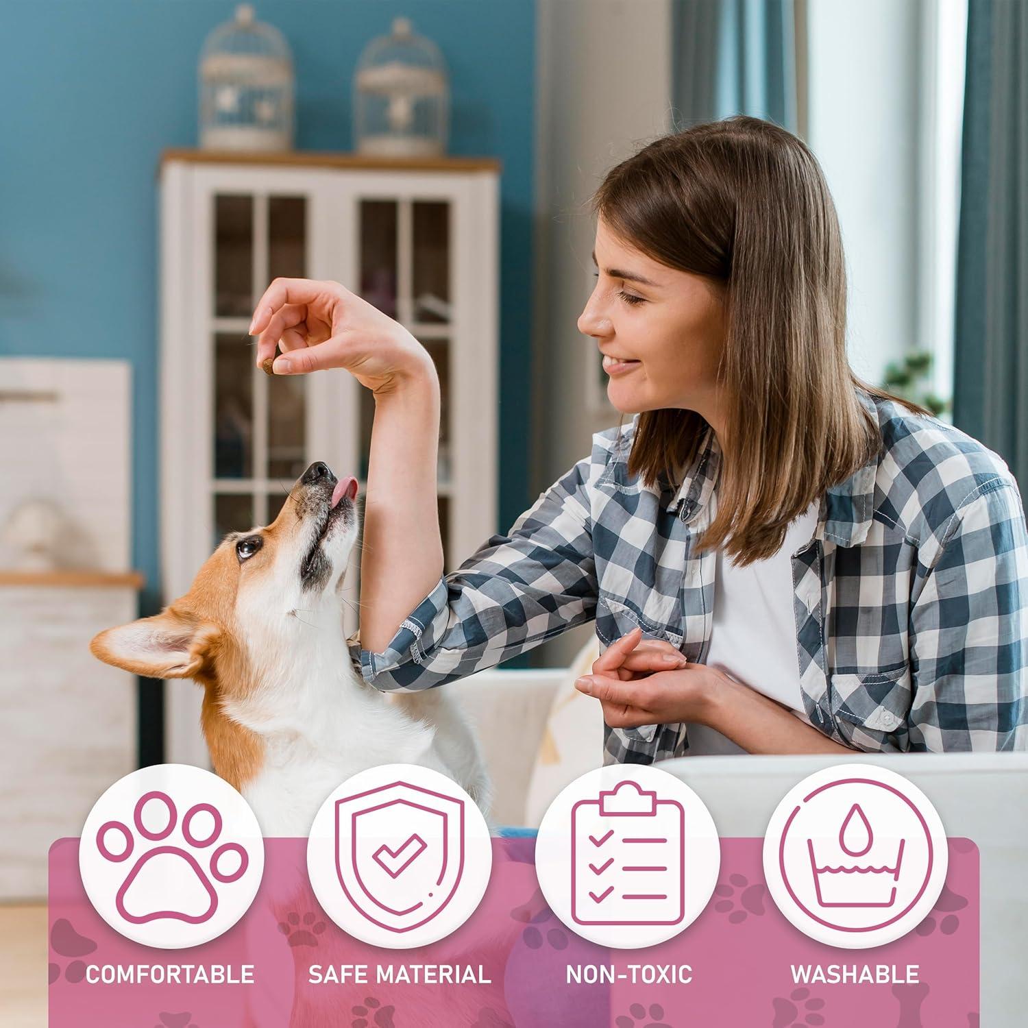 Pink Princess Washable Dog Pee Pads with Grooming Gloves