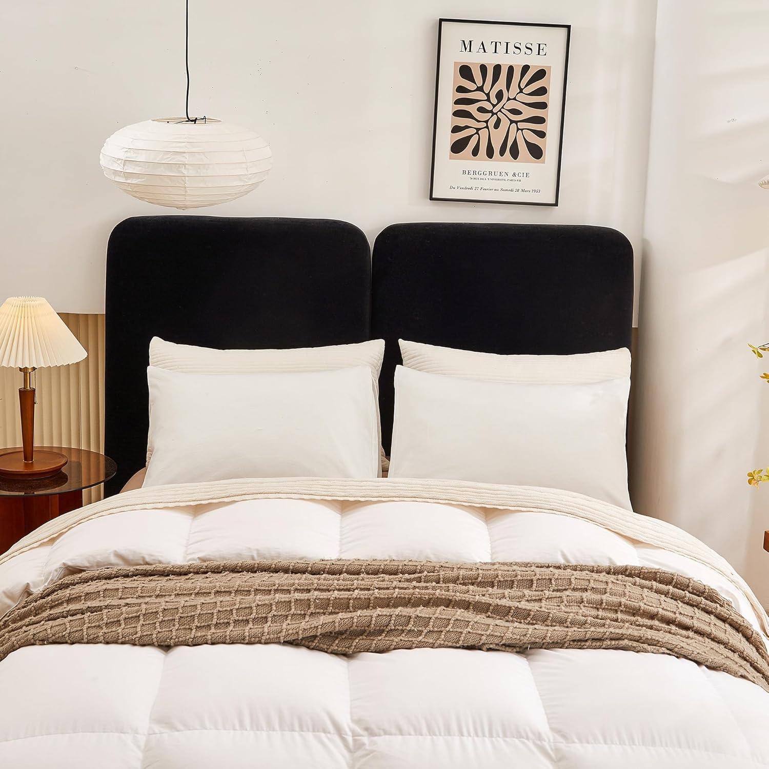 Queen Size Pillow Cases Set of 2 - White Queen Pillowcase 2 Pack with Envelope Closure, Soft Brushed Microfiber Bed Pillow Case Cover, 20x30 inches White Queen (20" x 30")