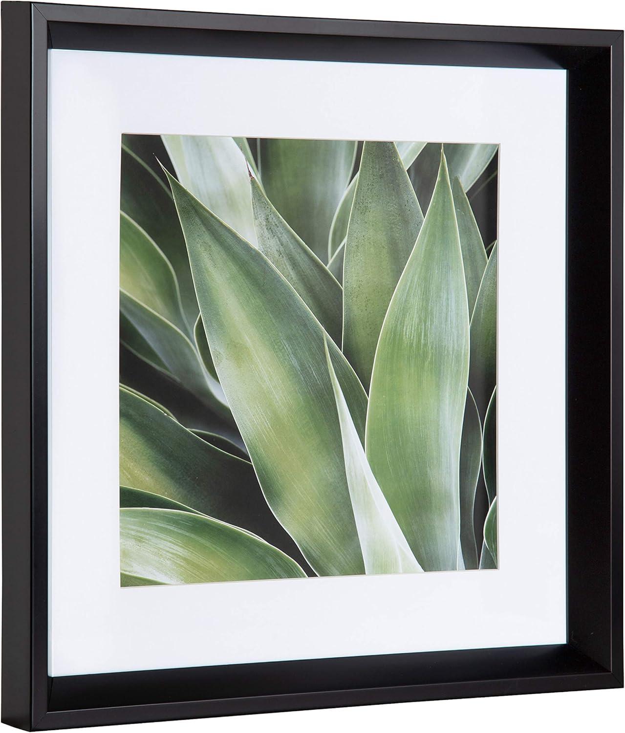 Green Succulent Leaves Framed Canvas Print Set