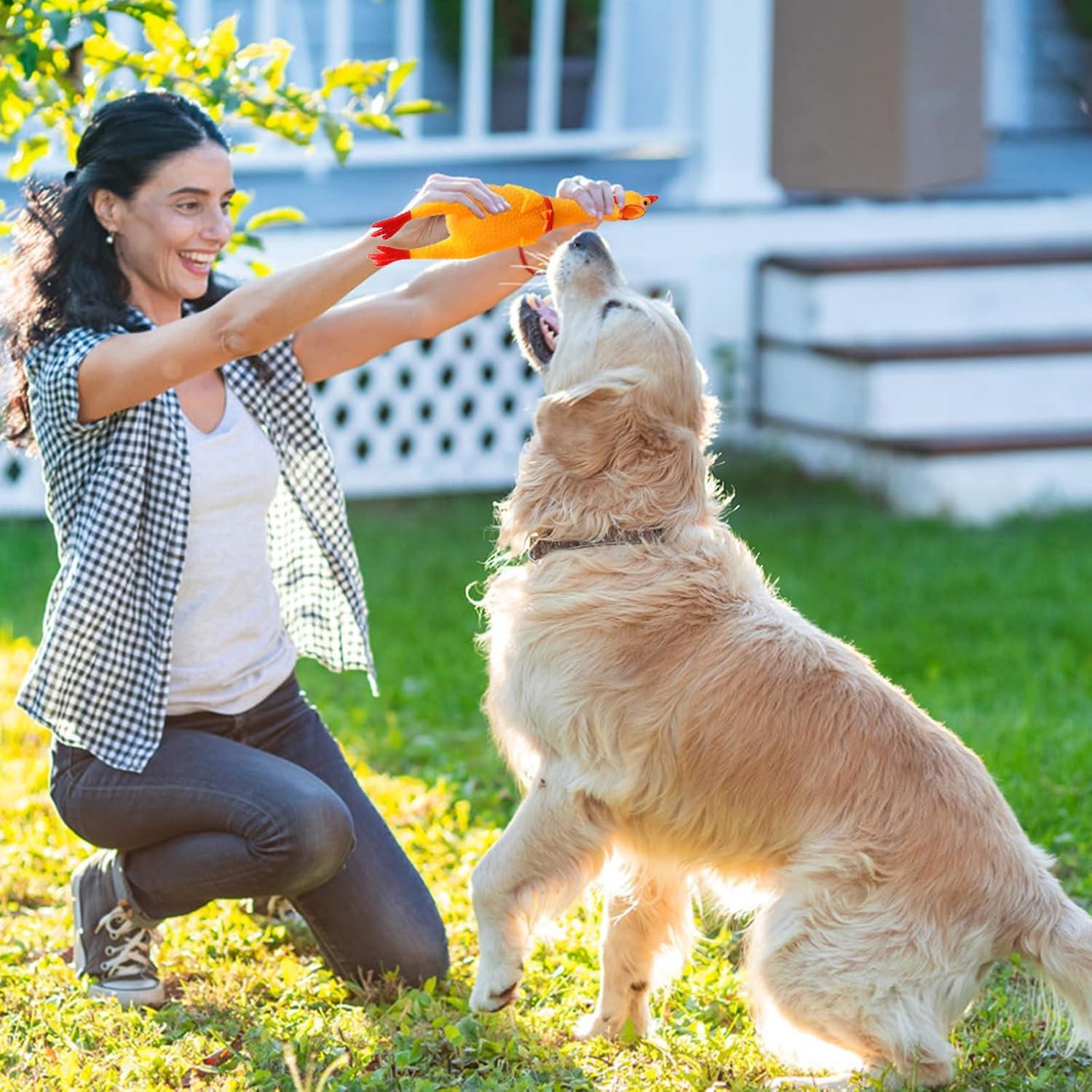 Zddaoole 6 Pcs Large Screaming Chicken ATT1Dog Toys,Yellow Rubber Chicken 12 inch,Squeeze Squeaky and Screaming Chicken,Prank Novelty Toy for Kids or Adults