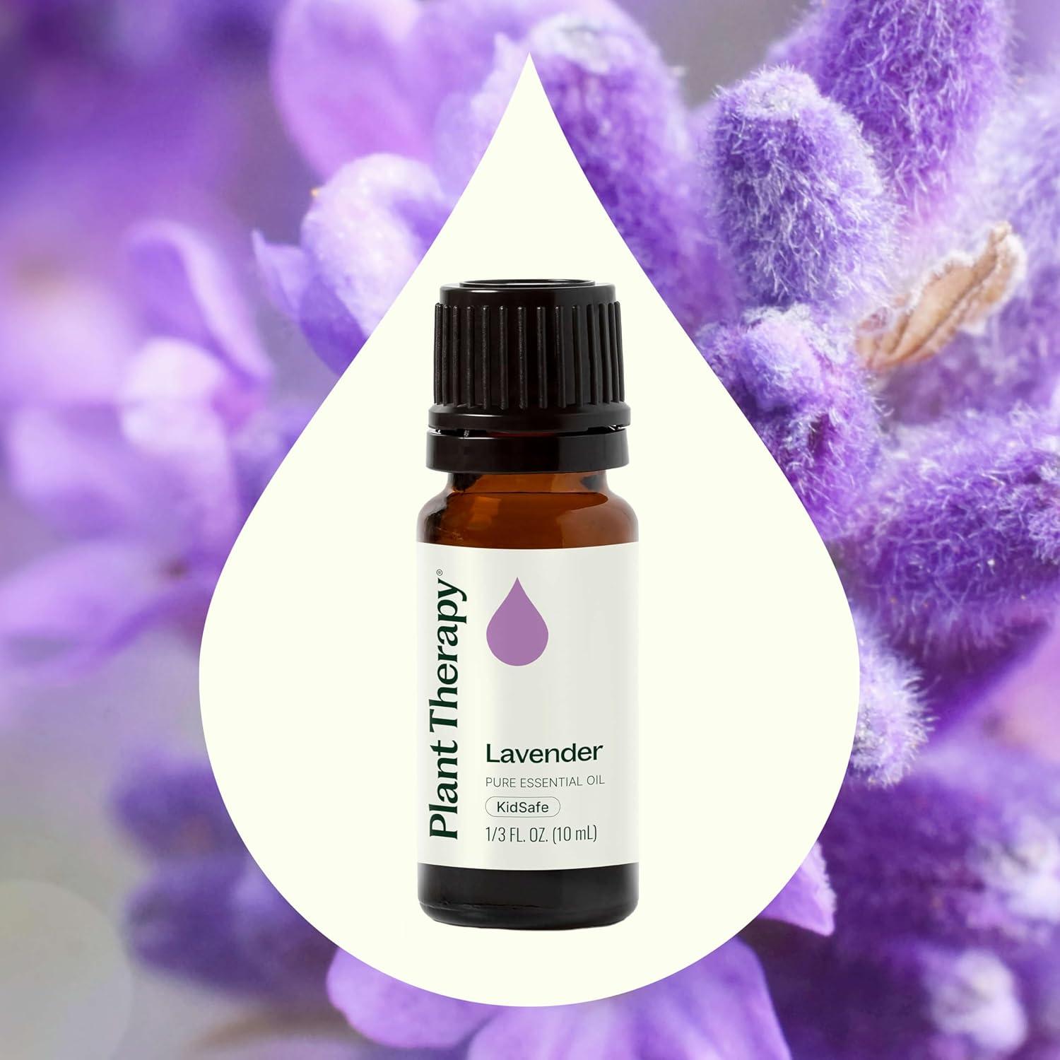 Plant Therapy Lavender Essential Oil 100% Pure, Undiluted, Therapeutic Grade, Aromatherapy Diffuser for Relaxation and Body Care, Healthy Skin and Hair, 10 mL