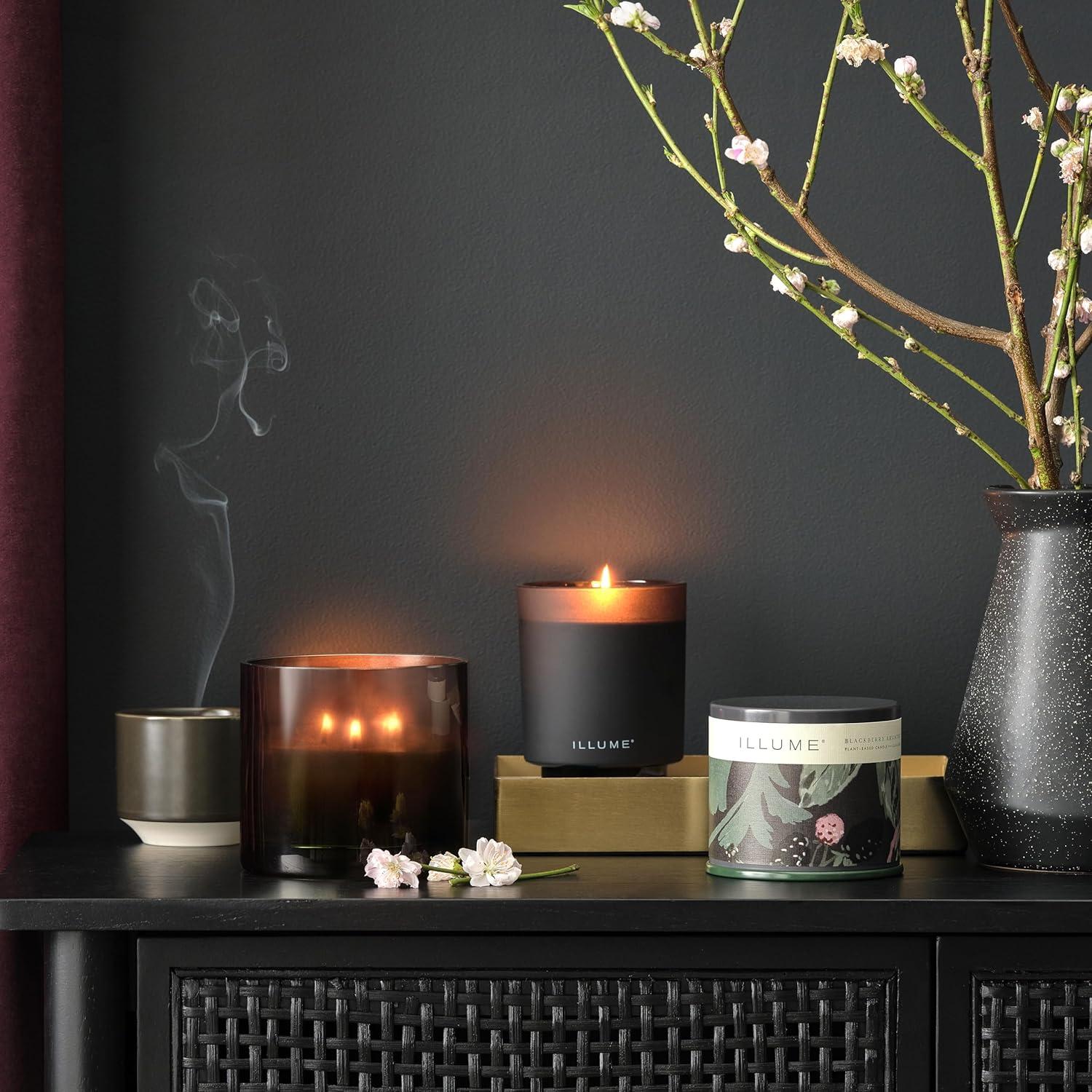 ILLUME Beautifully Done Essentials Blackberry Absinthe Aromatic Diffuser