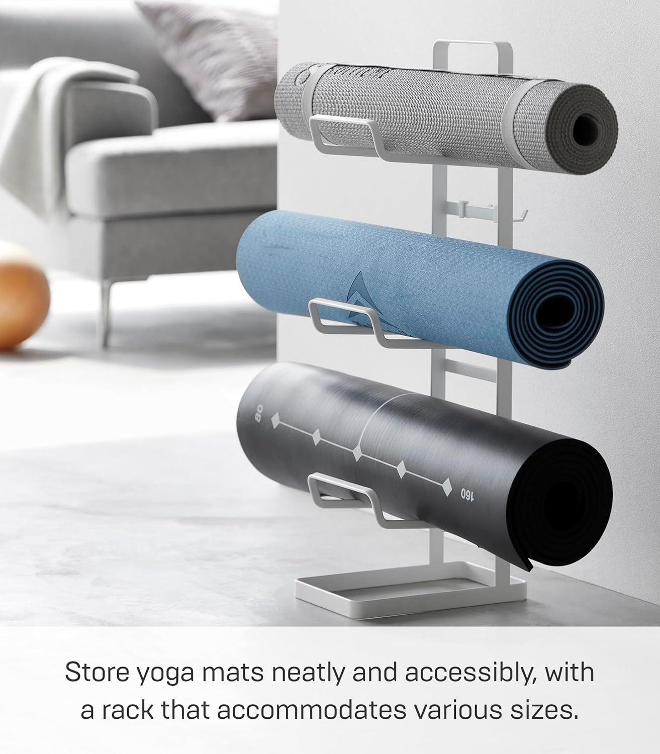 Yamazaki Home Yamazaki Home Fitness Equipment Storage Rack, Steel 2034